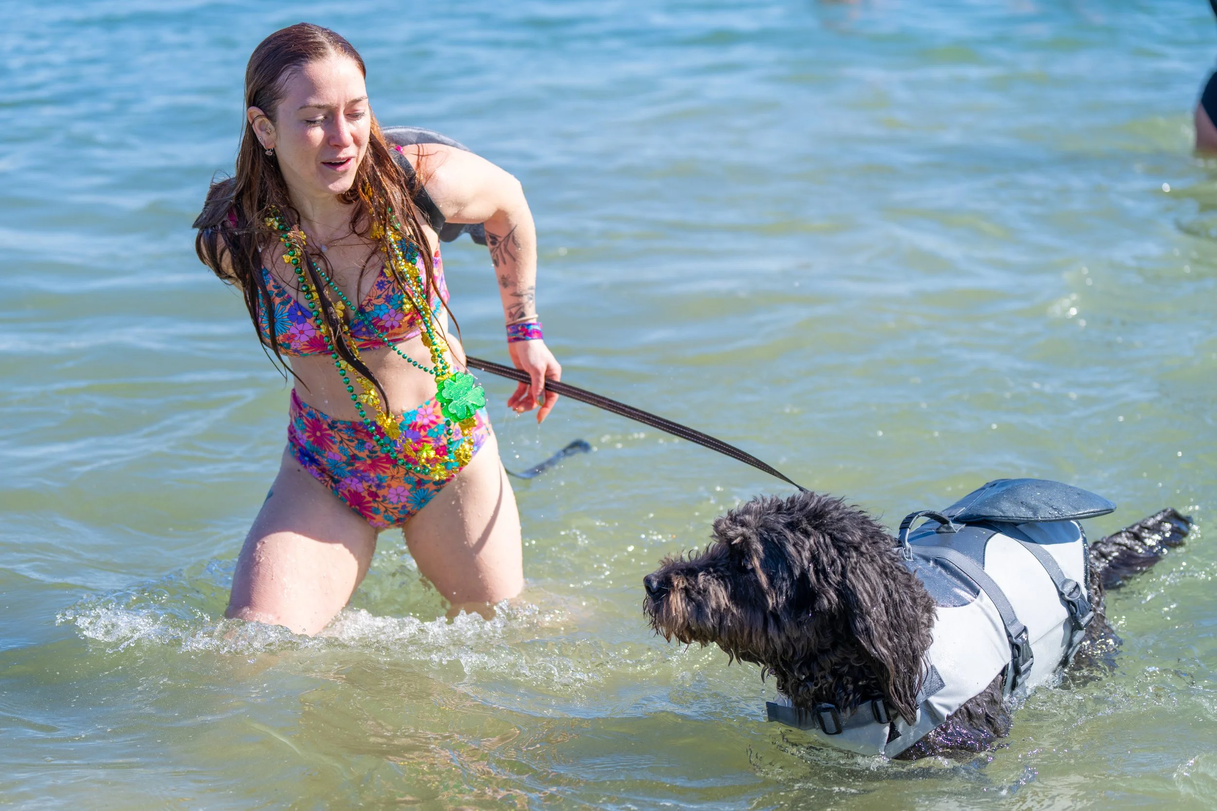 Save the Harbor’s Annual JetBlue Shamrock Splash set for March 8