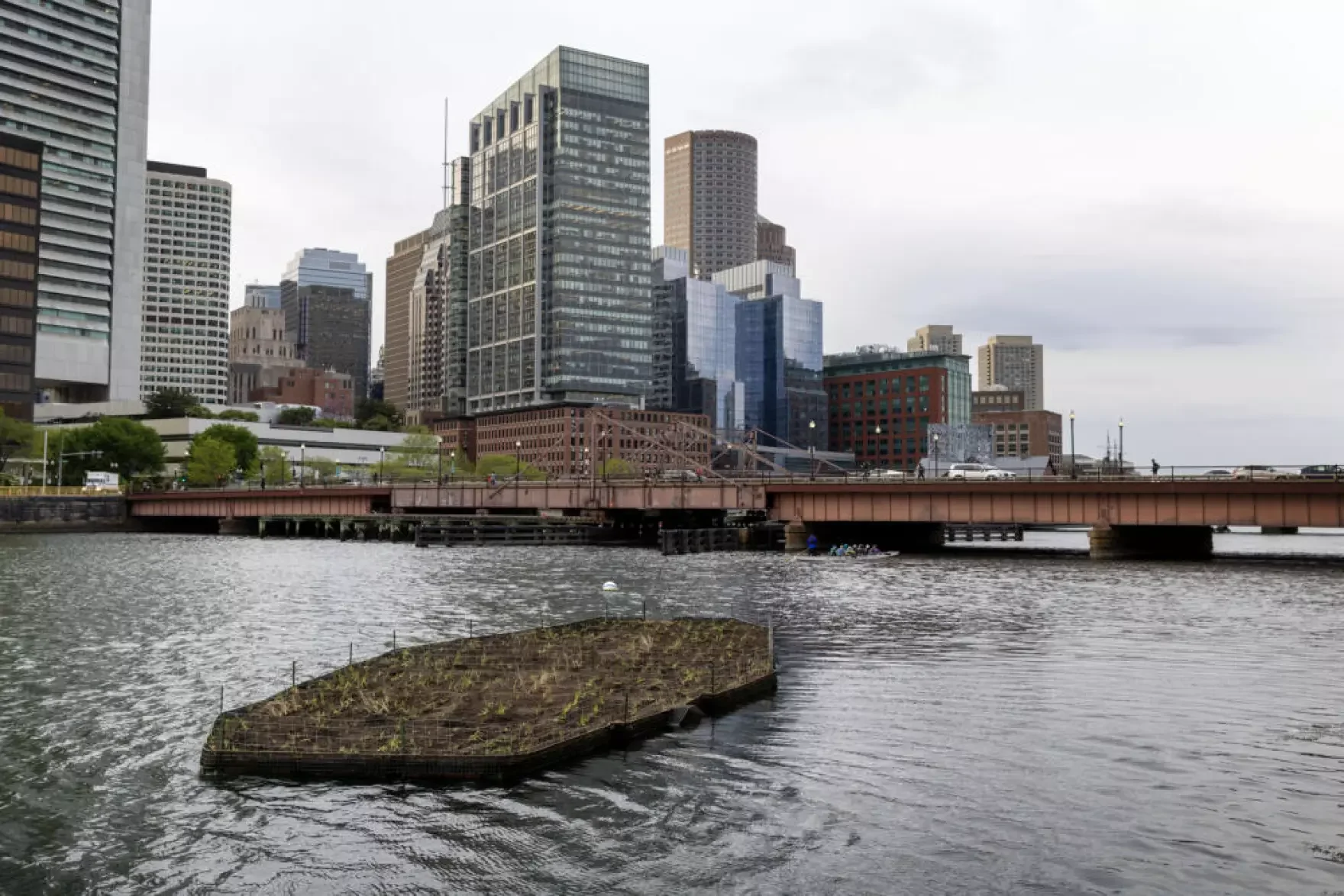 Floating wetlands bring back Boston's natural landscape lost to development
