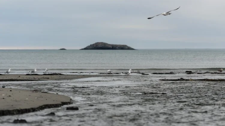 Kings Beach may undergo daily testing