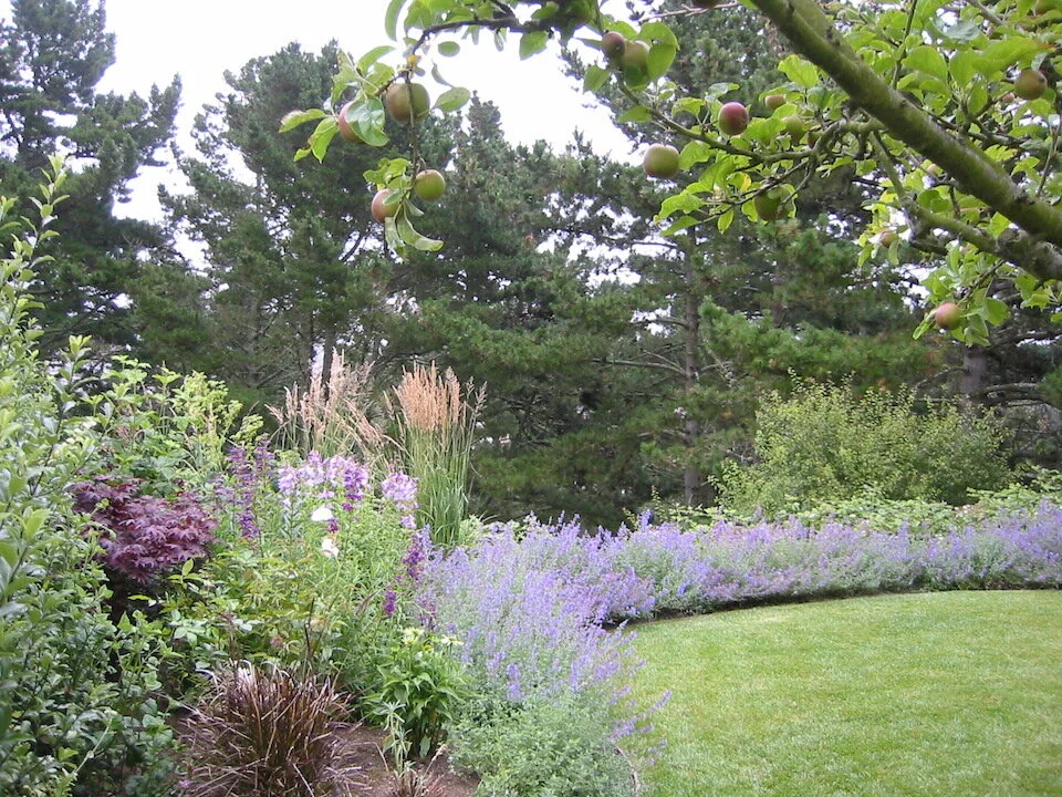 larchmont-3.JPG