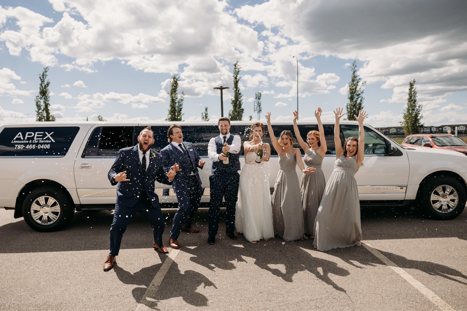 Edmonton Wedding Reception 