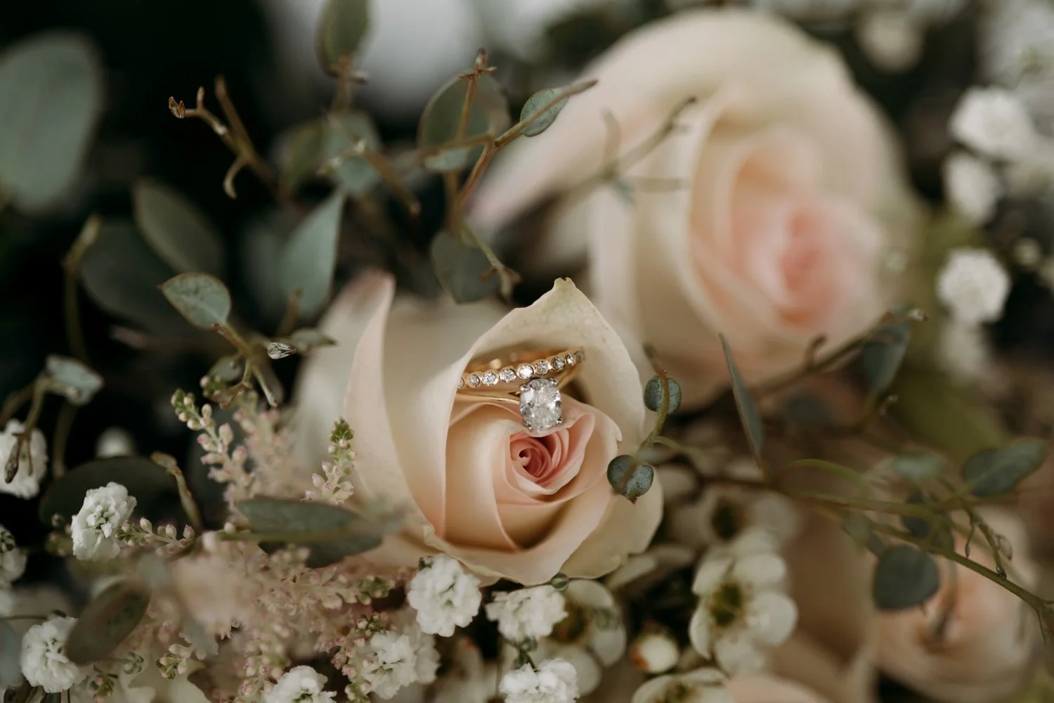 Alberta Wedding Photography