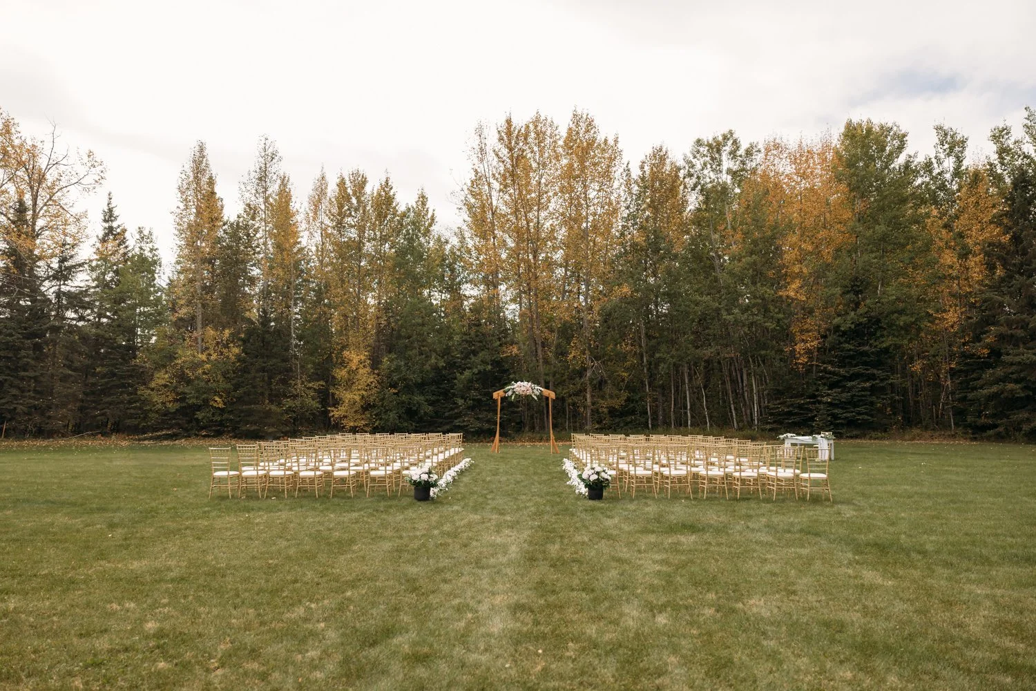 Alberta Wedding Photography