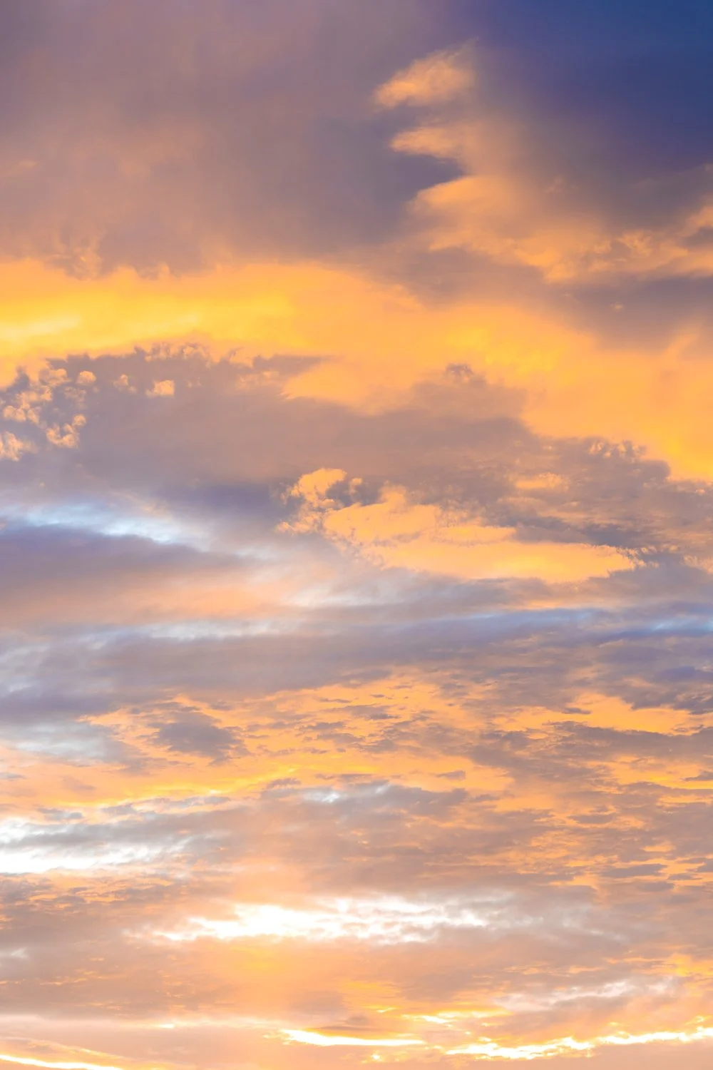 Alberta wedding photographer 