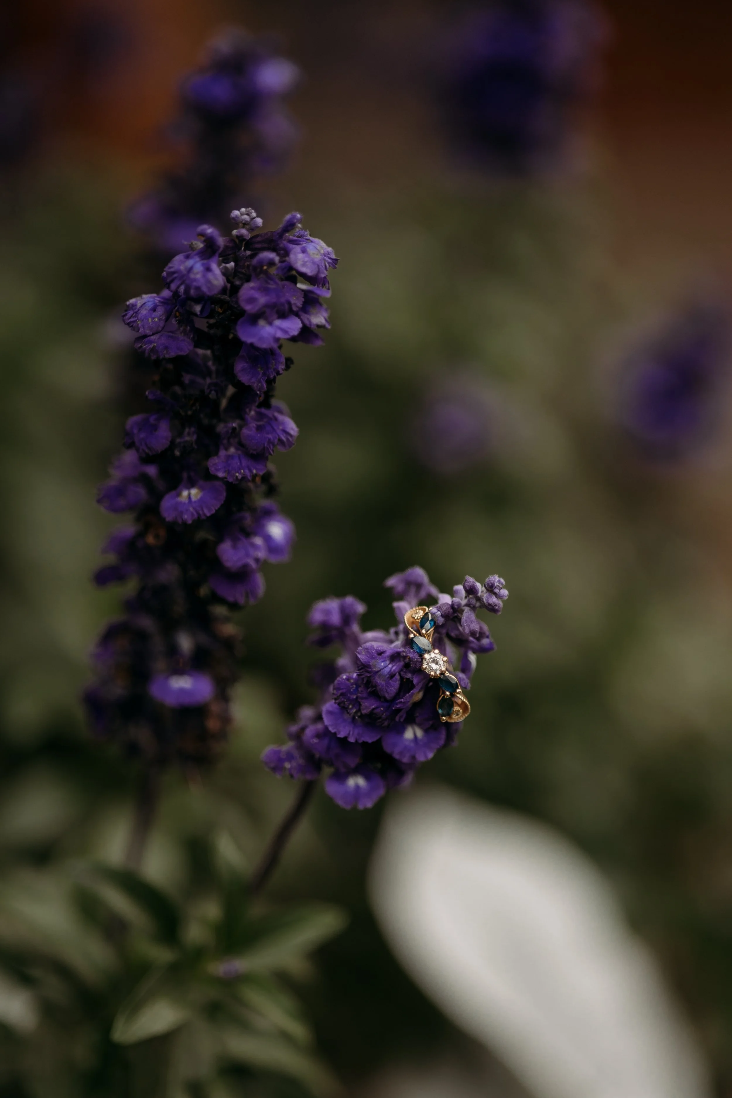 spring engagement photos at the st. albert botanic park in st albert by edmonton alberta wedding photographer tays photos and beauty