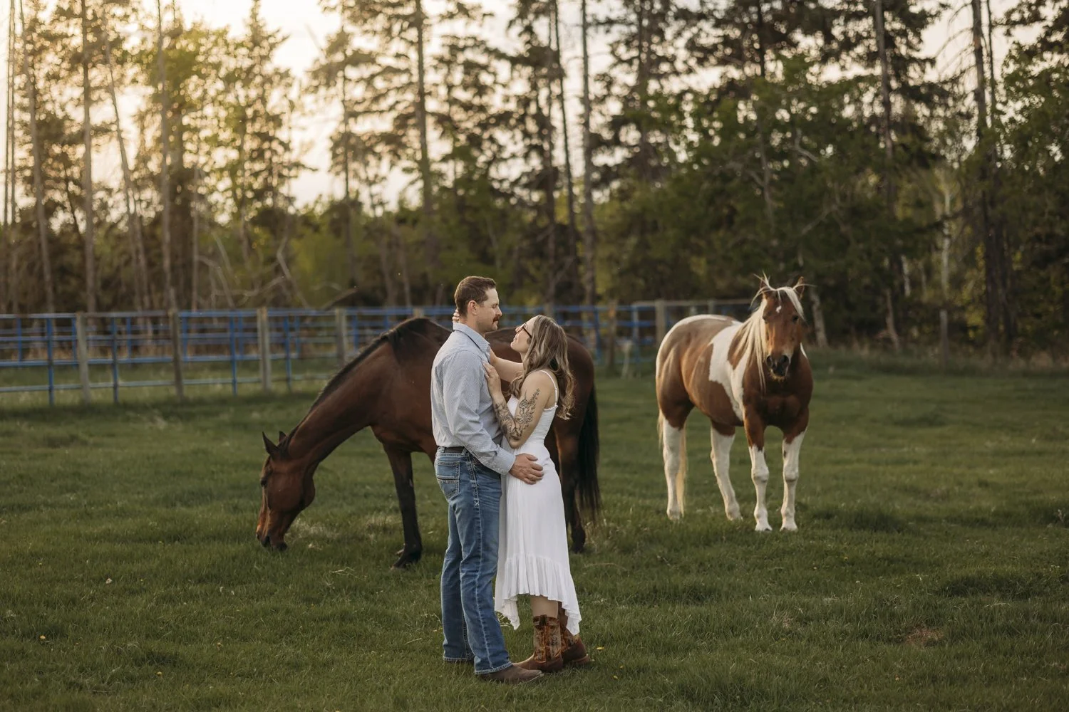 engagement photos in stony plain alberta by stony plain alberta wedding photographer tays photos and beauty