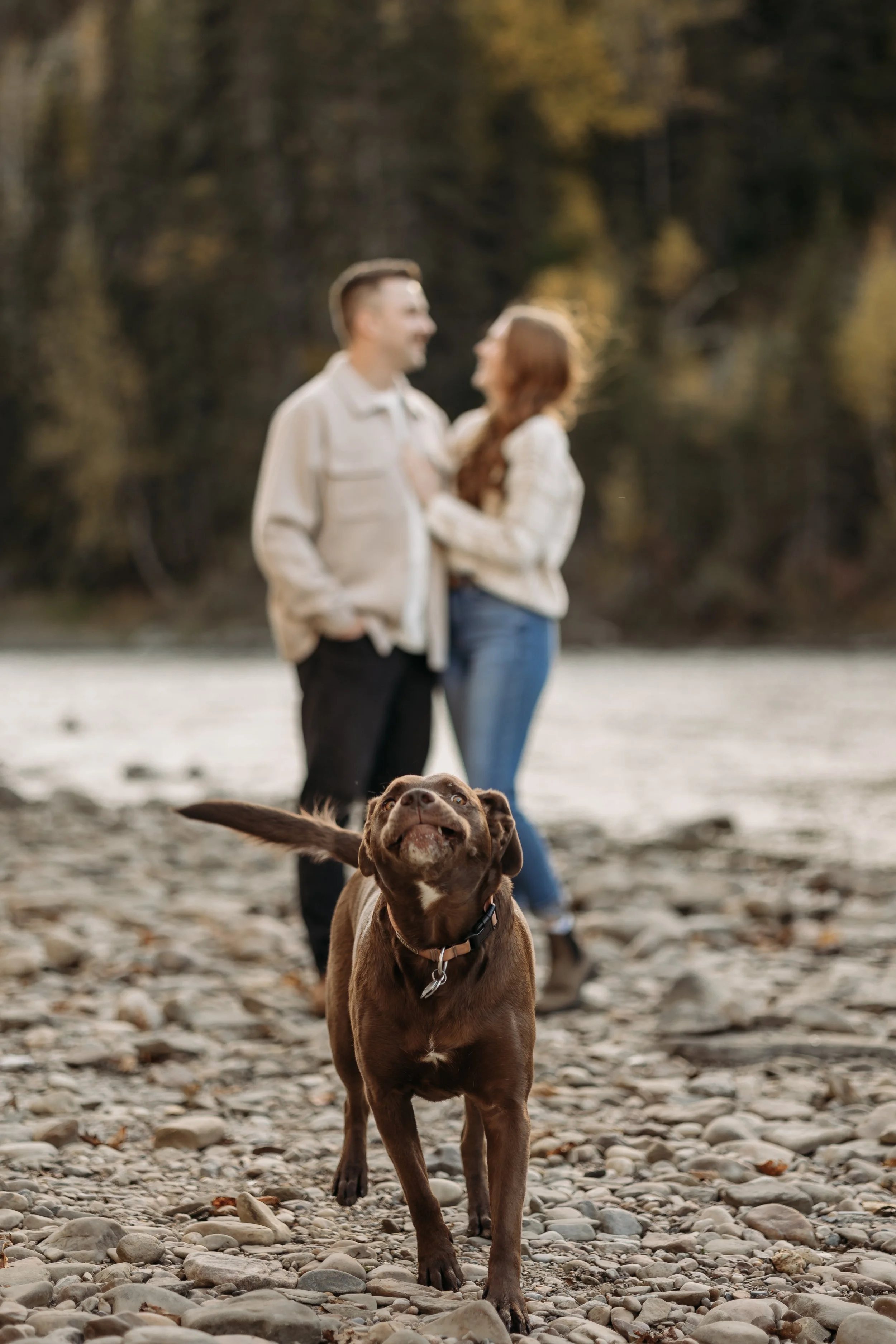 engagement photos at pembina river provincial park in alberta photography by edmonton alberta wedding photographer tays photos and beauty