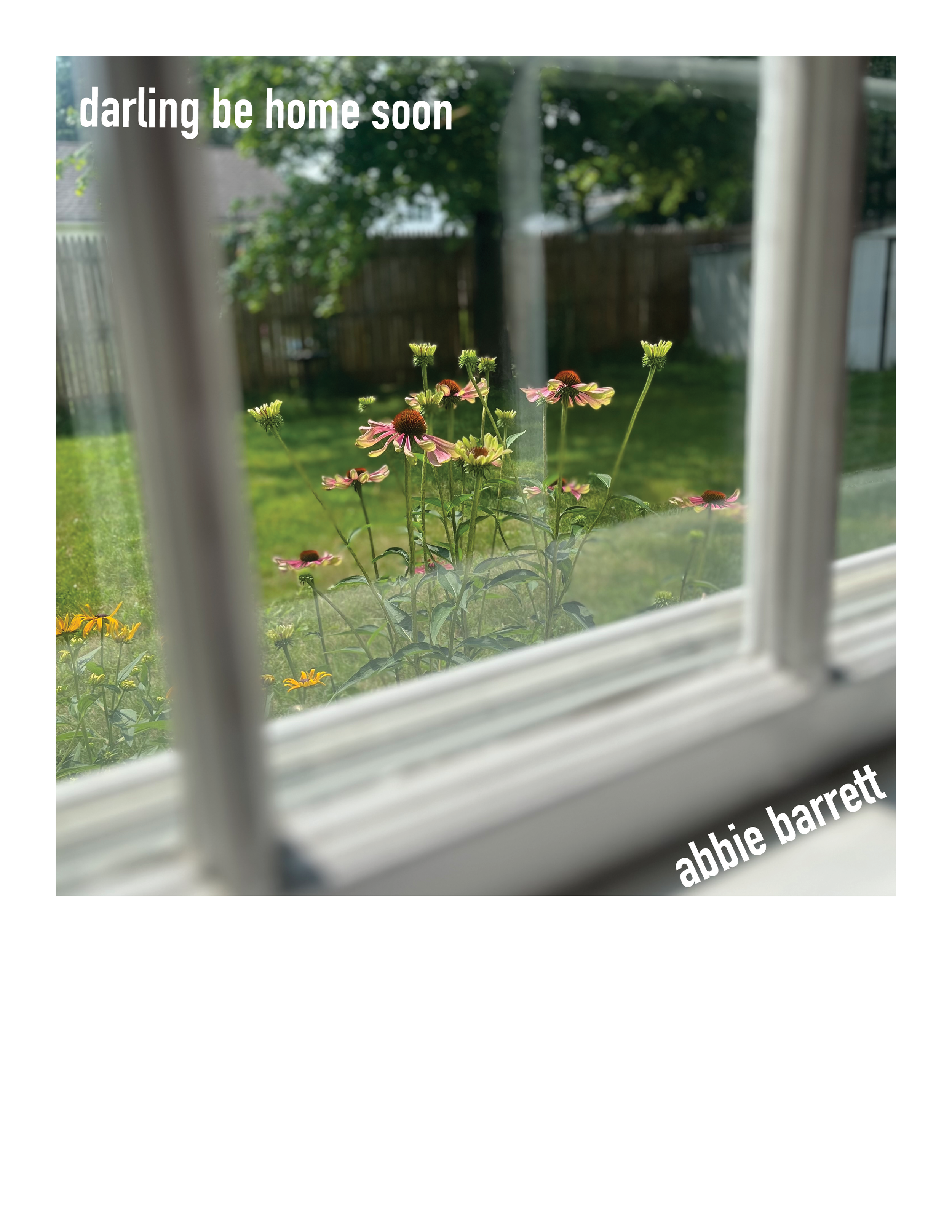 A window pane with coneflowers growing outside