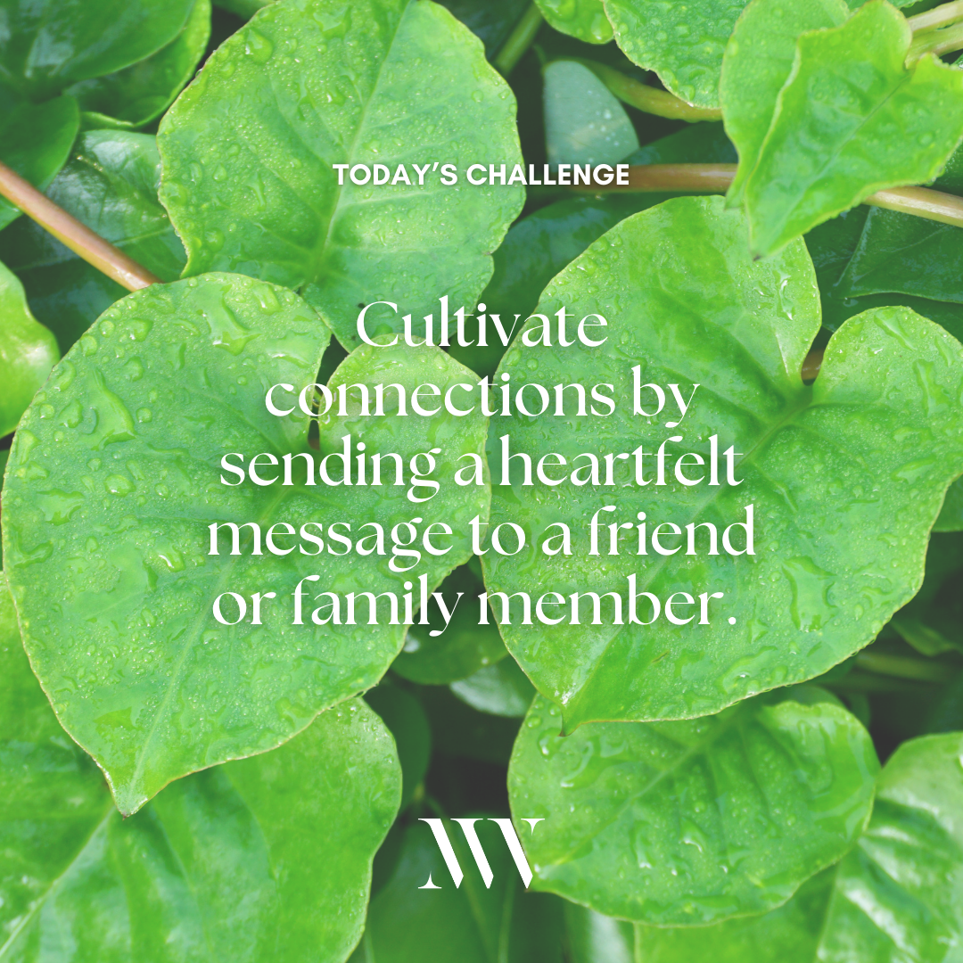 Day 25: Cultivating Connections - The Art of Nurturing Relationships
