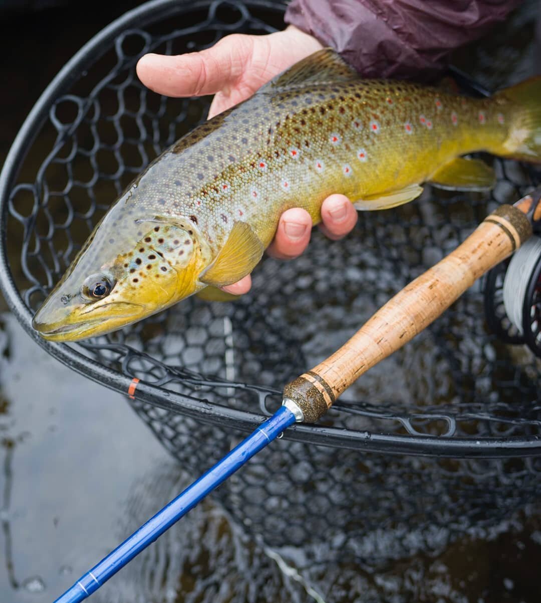 Looking for an awesome trout-stick assembled right here in Northern Wisconsin? I've been fishing this super sleek @chippewa_river_custom_rod 7 wt for everything from browns to bass to steelhead since last fall. Tommy Shenk is a hell of a nice guy who