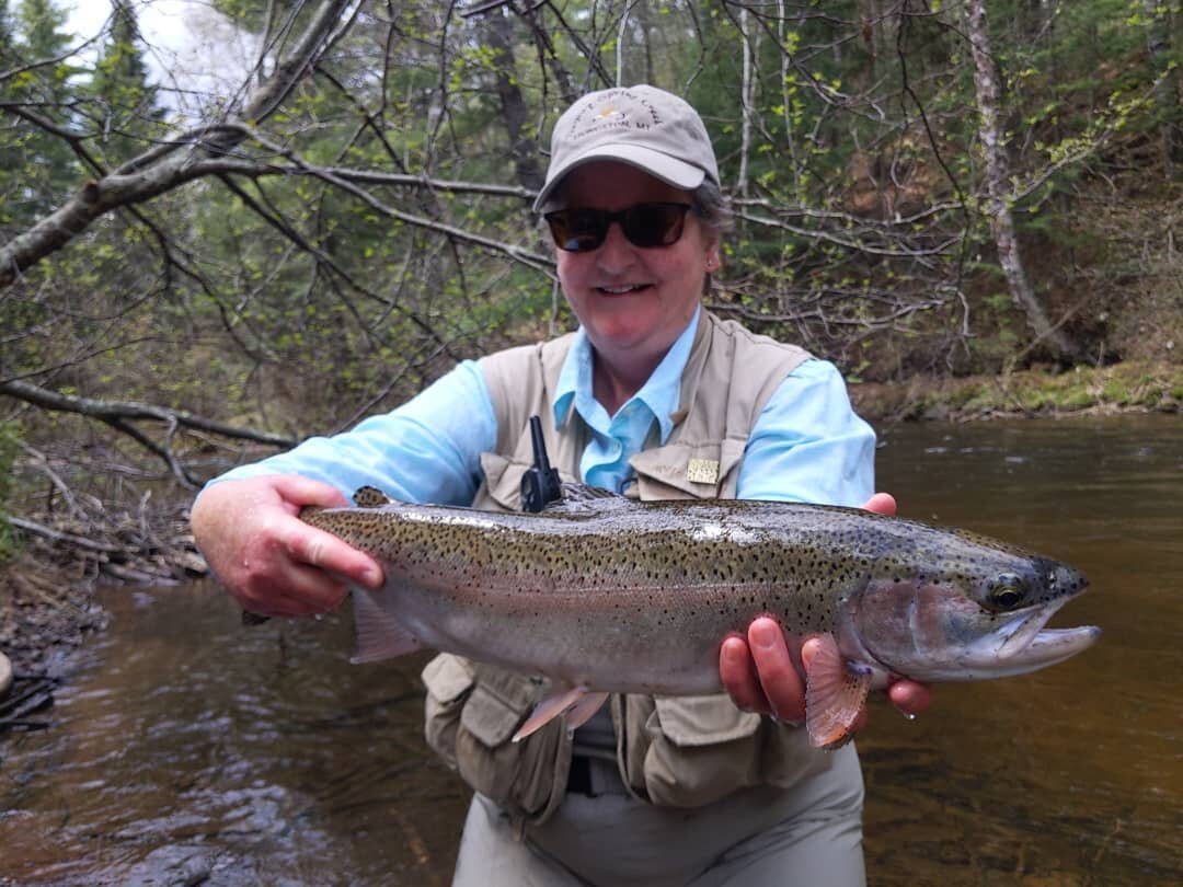 Nancy and Al from Milwaukee had a stellar couple of days fishing in the Northwoods for their first time. On the last hole Nancy landed this beautiful steelhead on a 5wt and size 16 soft hackle. Springtime up here is special! #fontinalisflyfishing #st