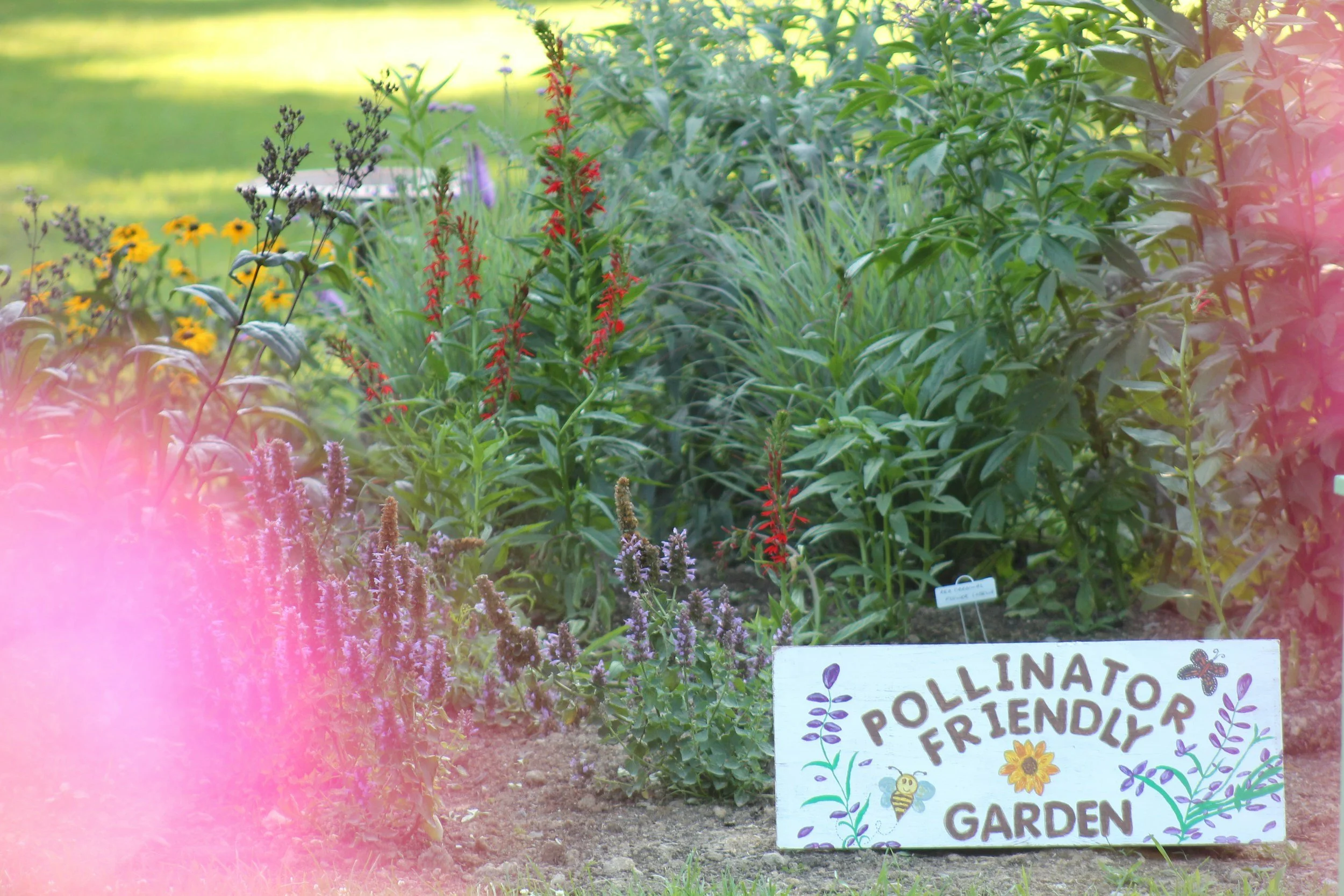 Spring 2026 Gardening Class - Creating a Pollinator Garden