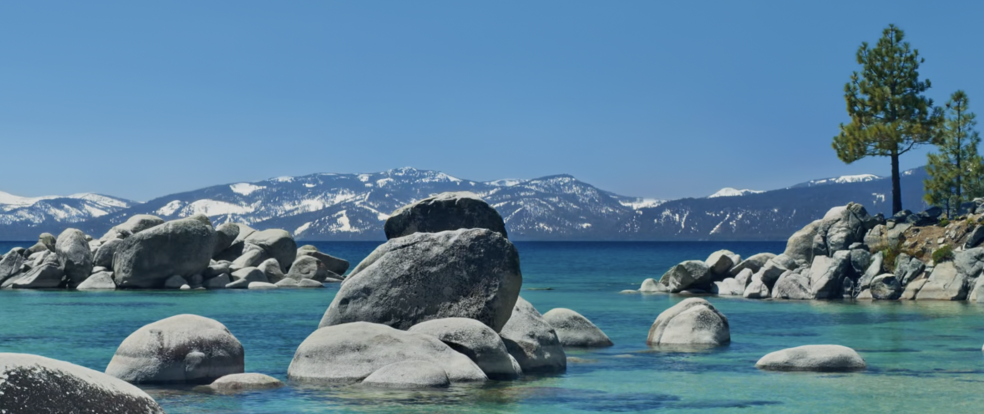 How DBT Can Support You as You Heal From Trauma