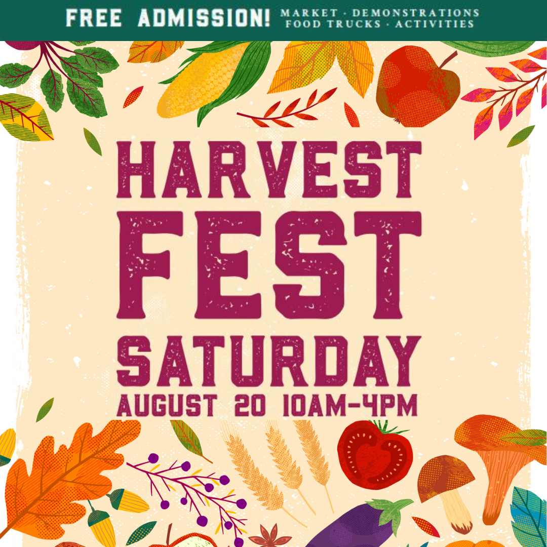 Harvest Fest 2022