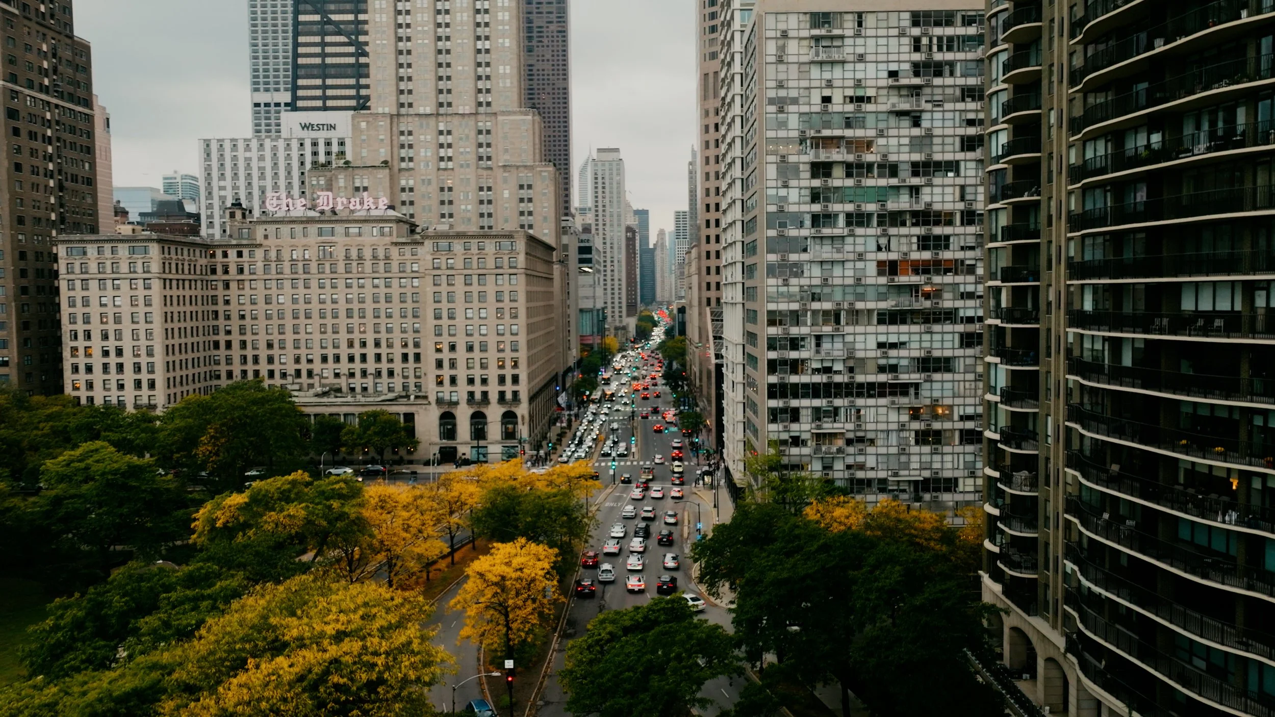 Sequence 05.00_00_08_21.Still005.jpg