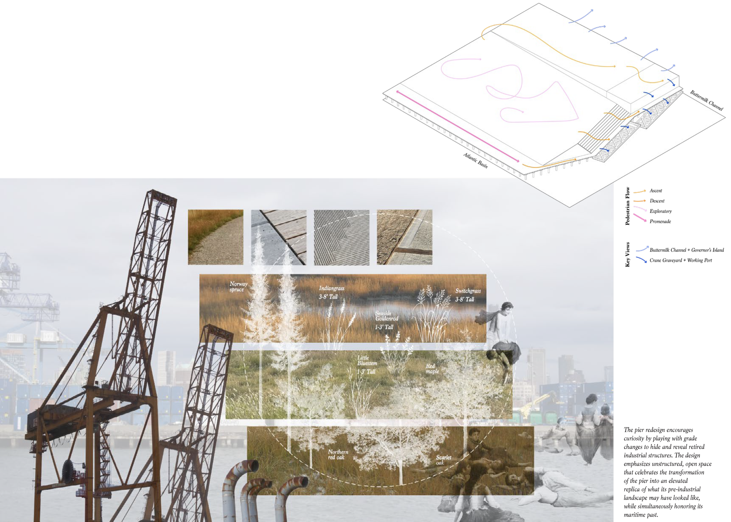 Pages from MacKenzie_Work Sample.png