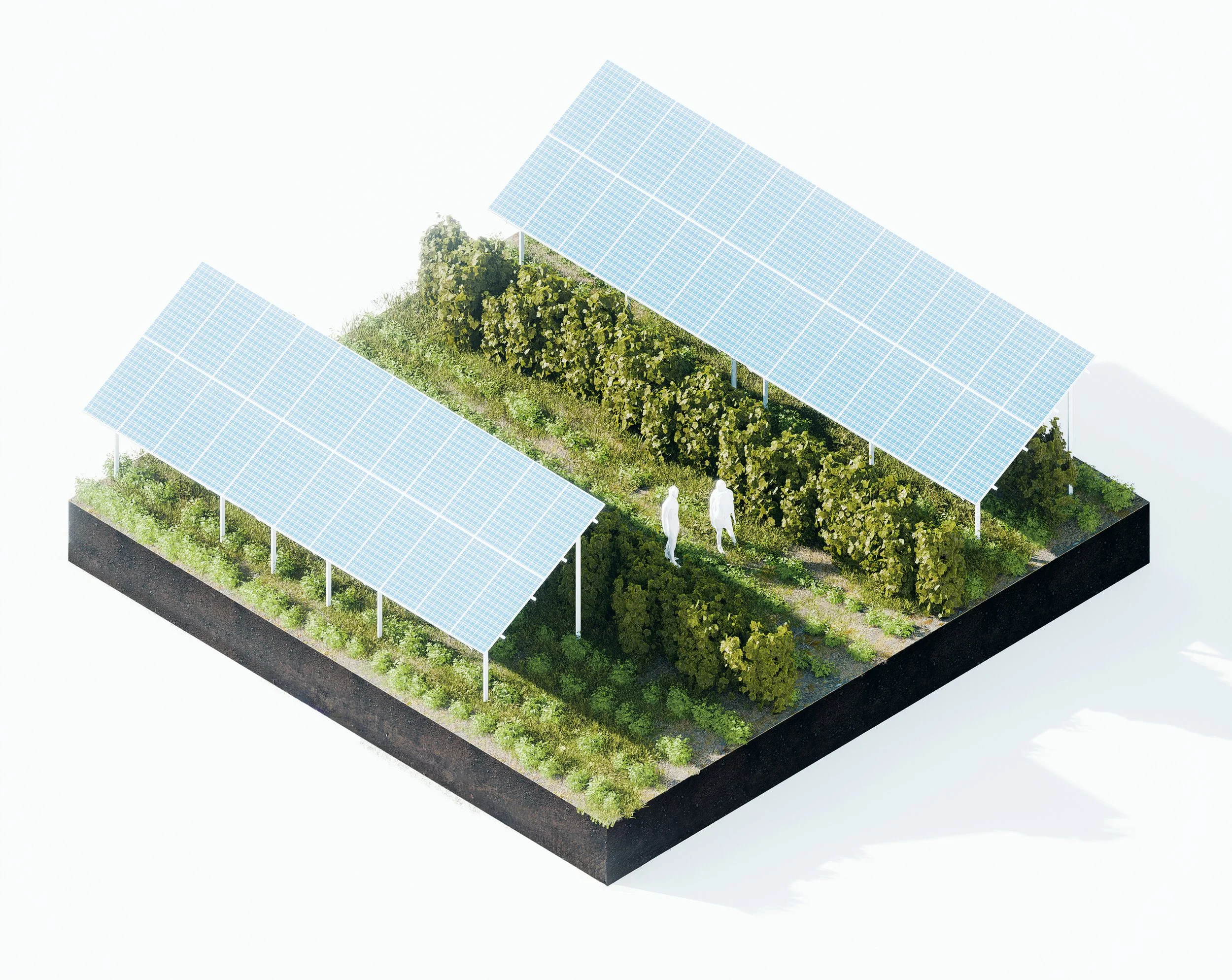 Combining Energy and Agriculture with Agrivoltaics