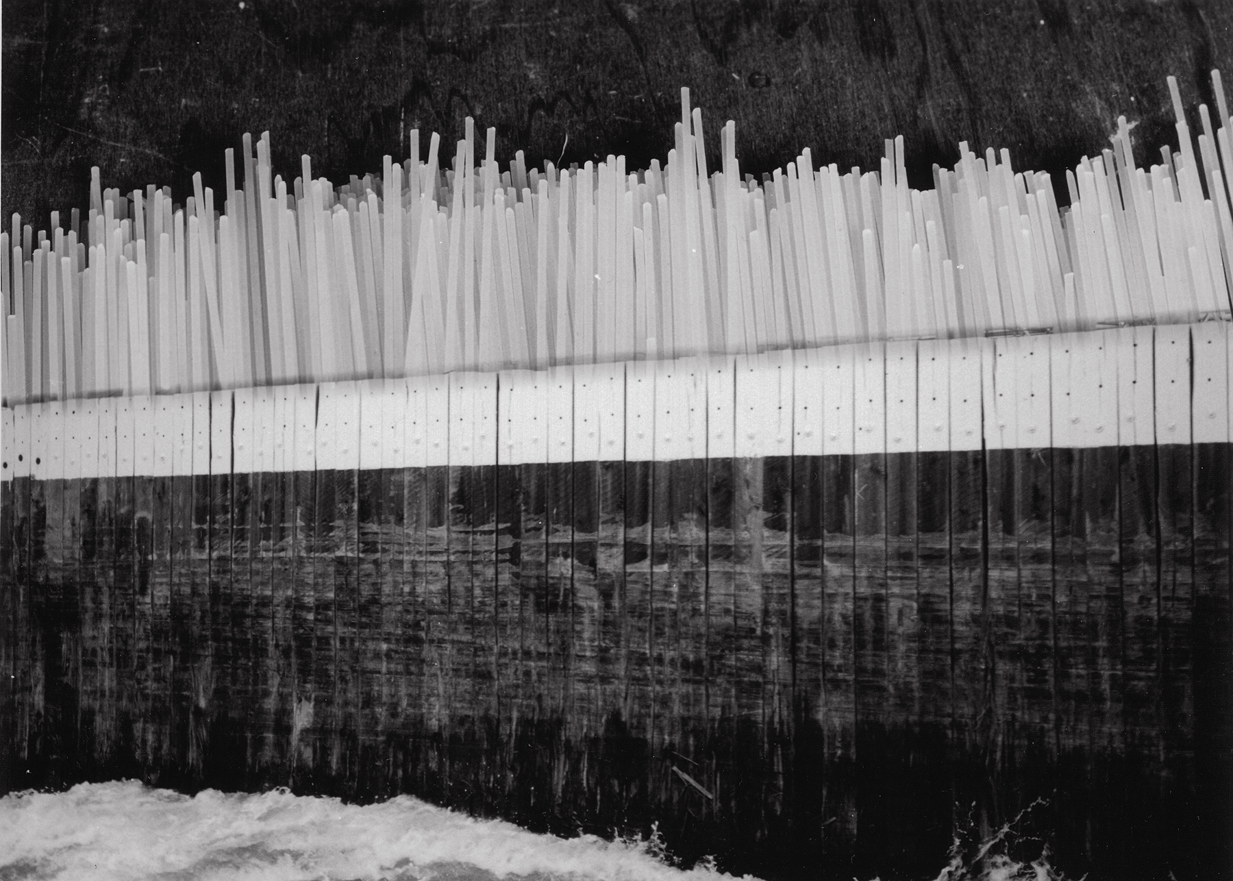 Ferry Slip Spaghetti