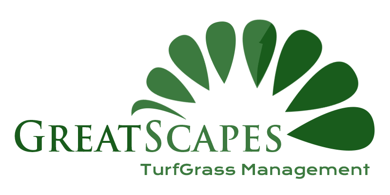 Great Scapes Turfgrass Management