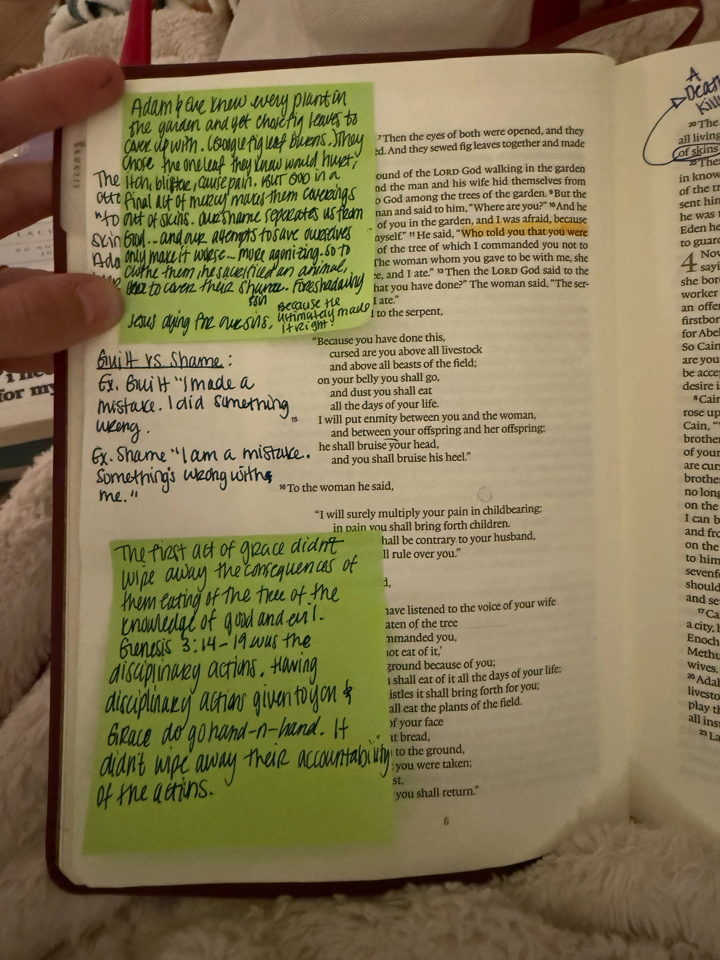 Ok class open up your Bibles 📖 and get a 🖊️ because you&rsquo;re gonna learn today!

The first act of GRACE didn&rsquo;t wipe away the consequences of them eating of the tree of the knowledge of good and evil. Genesis 3:14-19 was the disciplinary a
