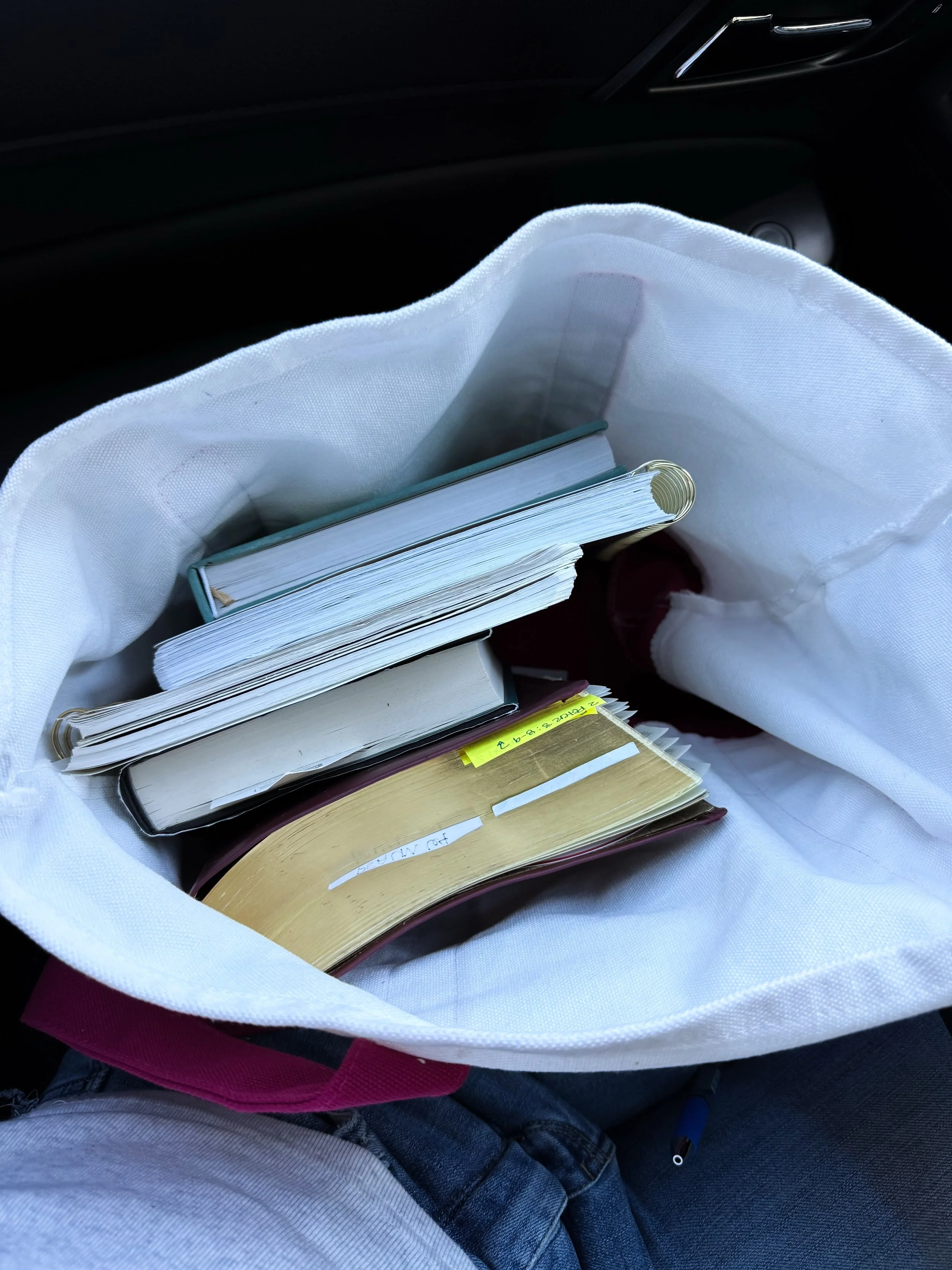 What&rsquo;s in my Bible bag 📚 🖊️ 
🔗 https://liketk.it/6oxLL

&bull; My Bible 
&bull; Current Read 
&bull; Sermon notebook/Bible study notebook
&bull; Just finished Bible study by @thedailygraceco 
&bull; Devotional by @thedailygraceco 
&bull; My 