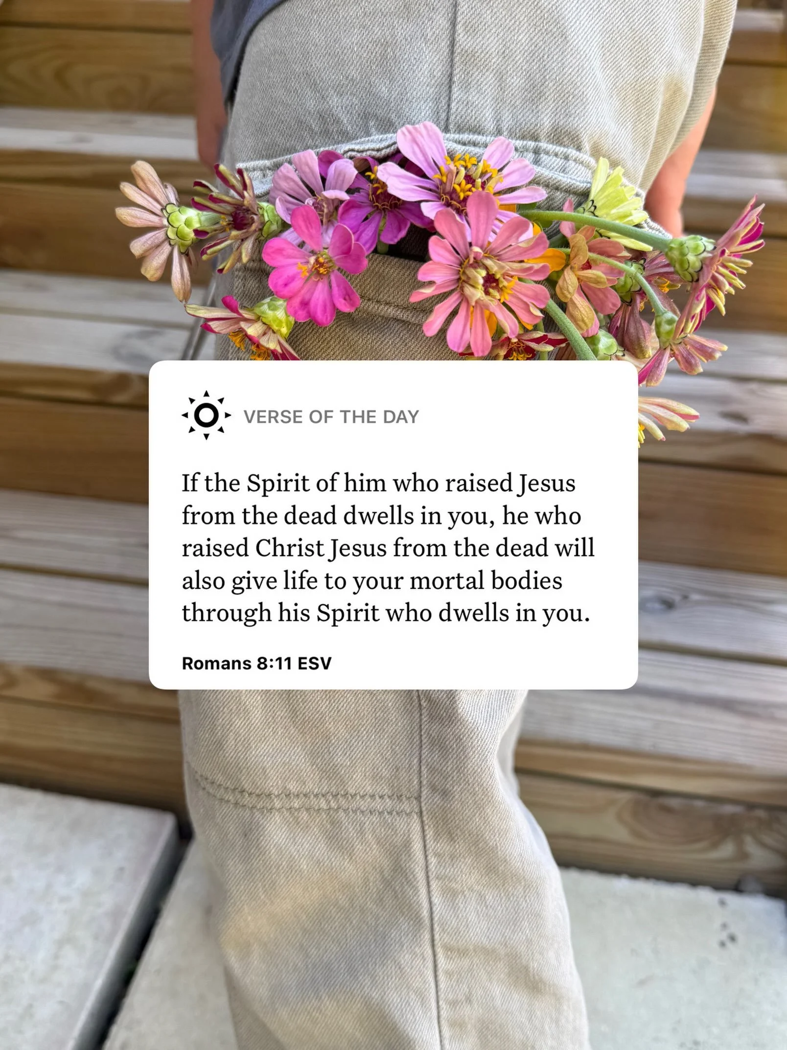VOTD 🌺