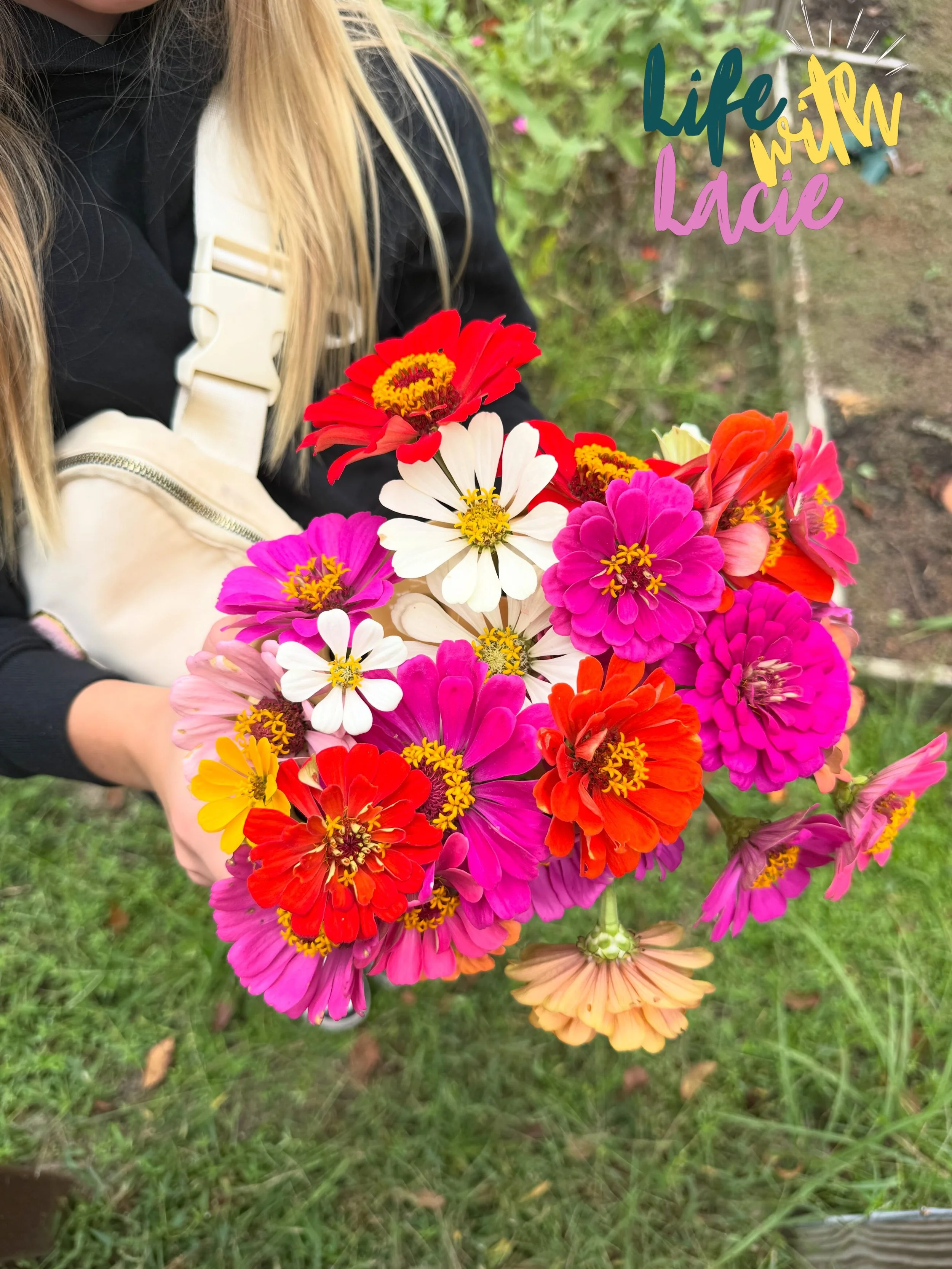 An evening in the garden flower pickin and riding wheelbarrows 🌼 

#flowerpicking #garden #fallvibes🍁