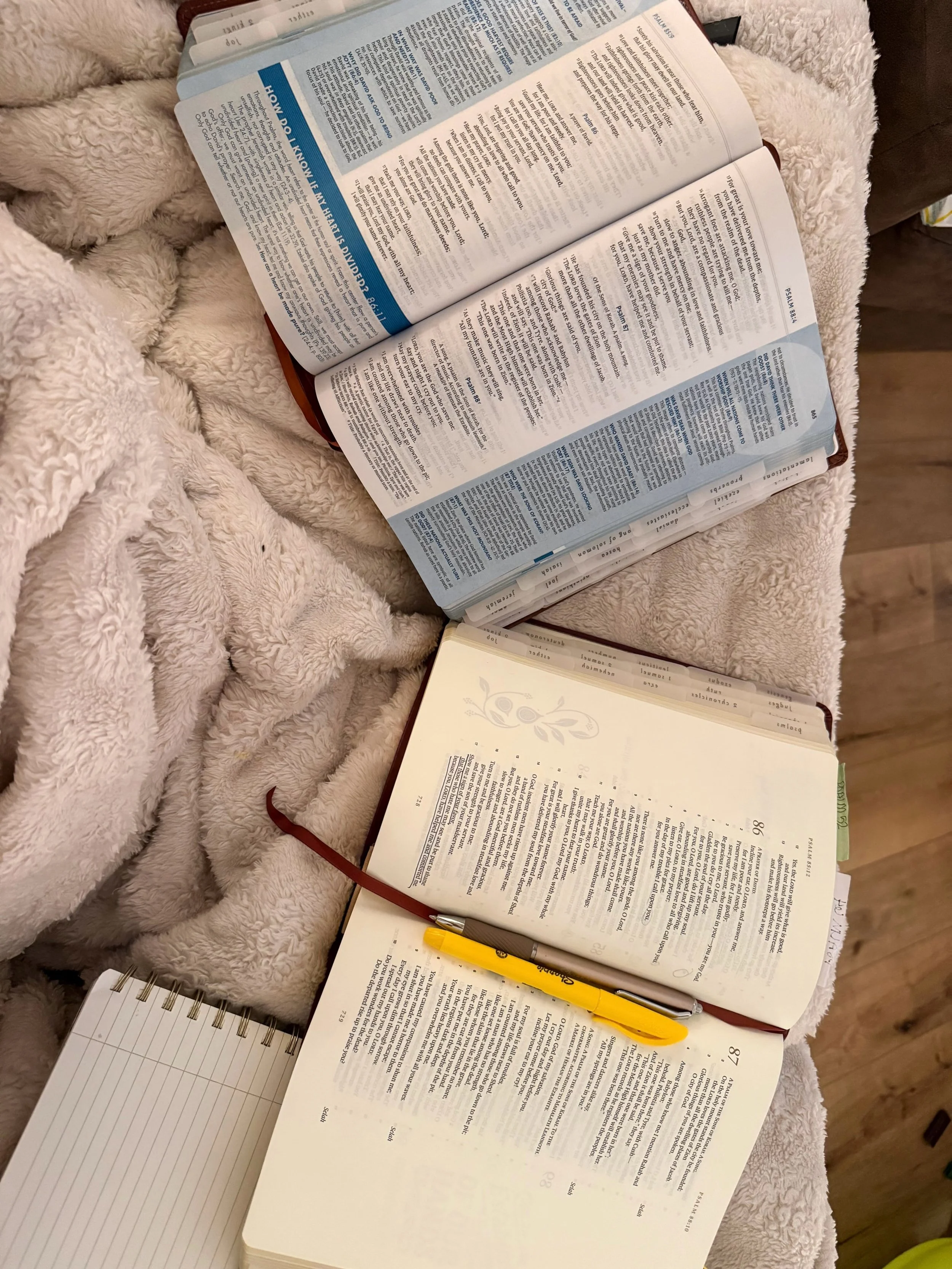 A little over halfway through reading through Psalm again. If you don&rsquo;t know what to pray, read Psalm. 

Bible links 🔗 https://liketk.it/6qaV4

#biblestudy #bible #scripture #psalm