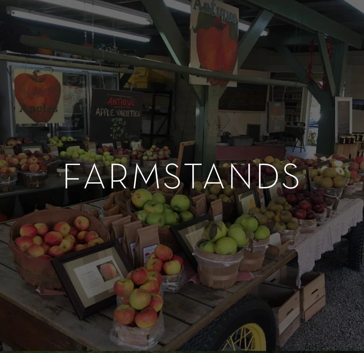 FARMSTANDS-ICON.JPG