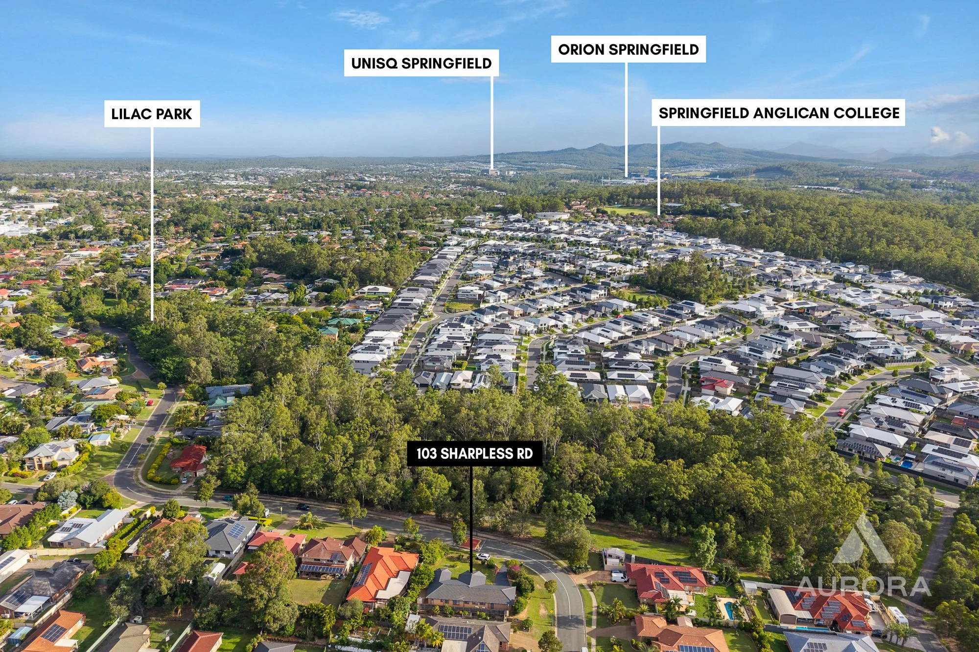 103 Sharpless Road, Springfield - WEB-26.jpg