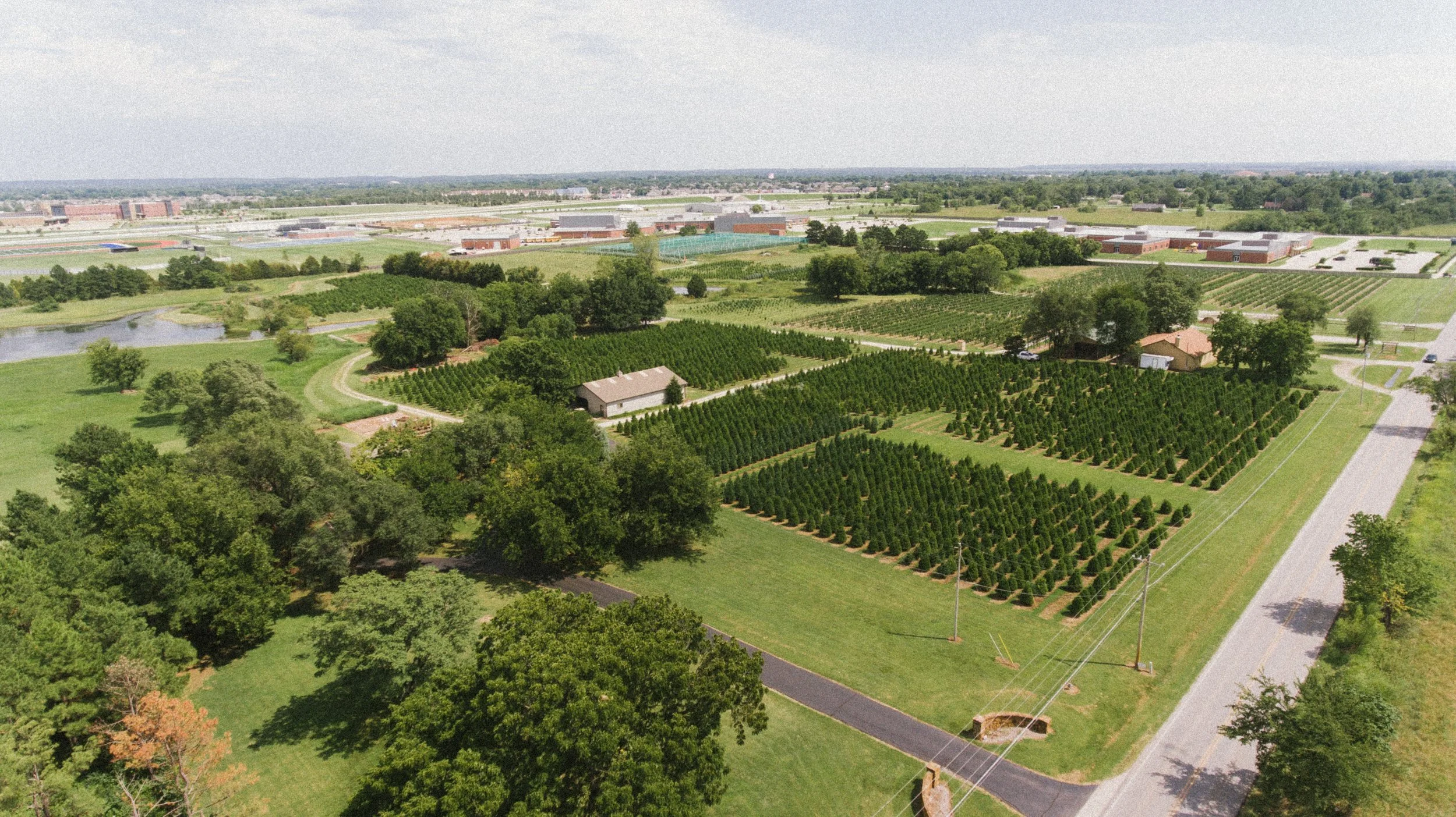 Owasso Christmas Tree and Berry Farm