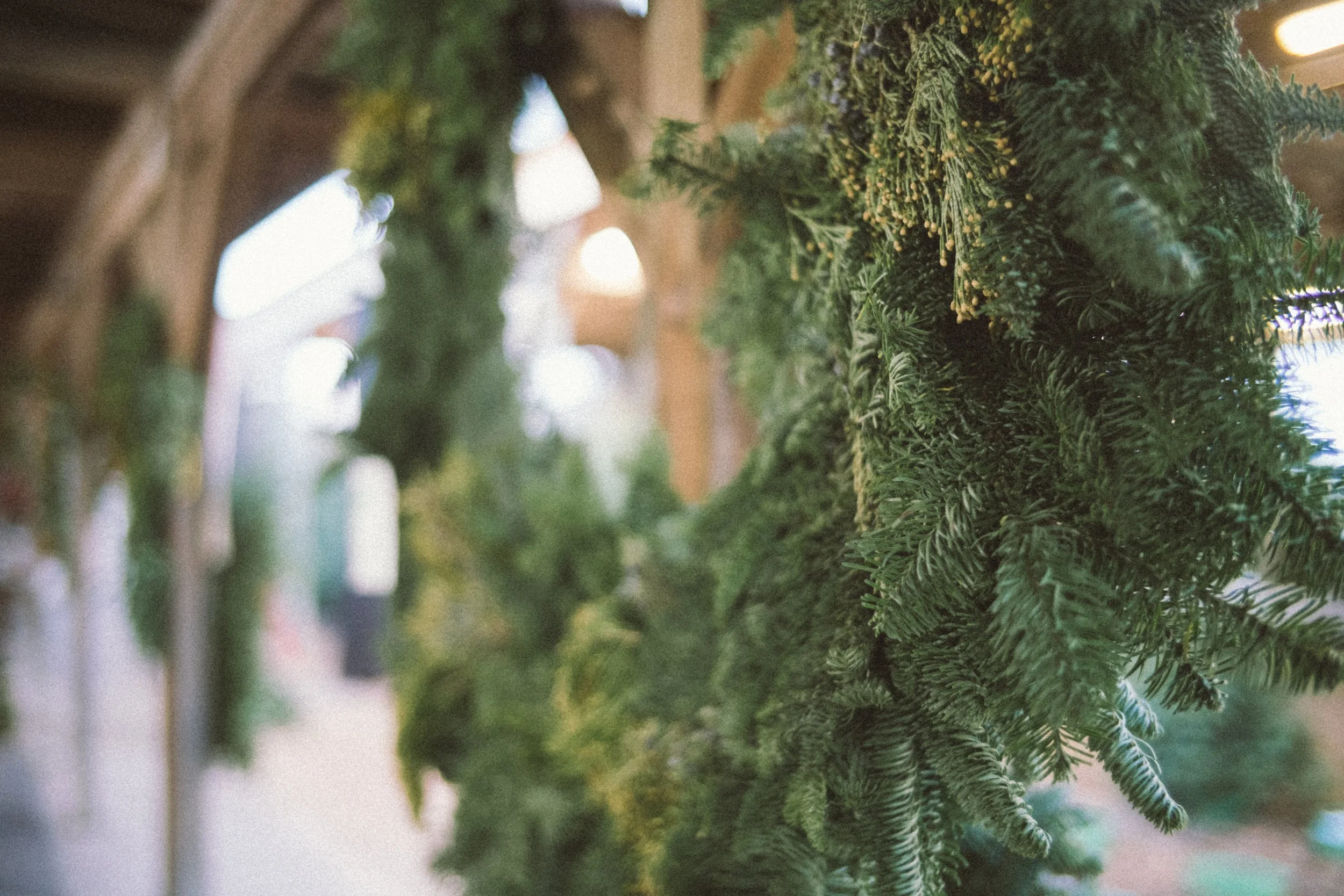 FAQs 1 — Owasso Christmas Tree and Berry Farm