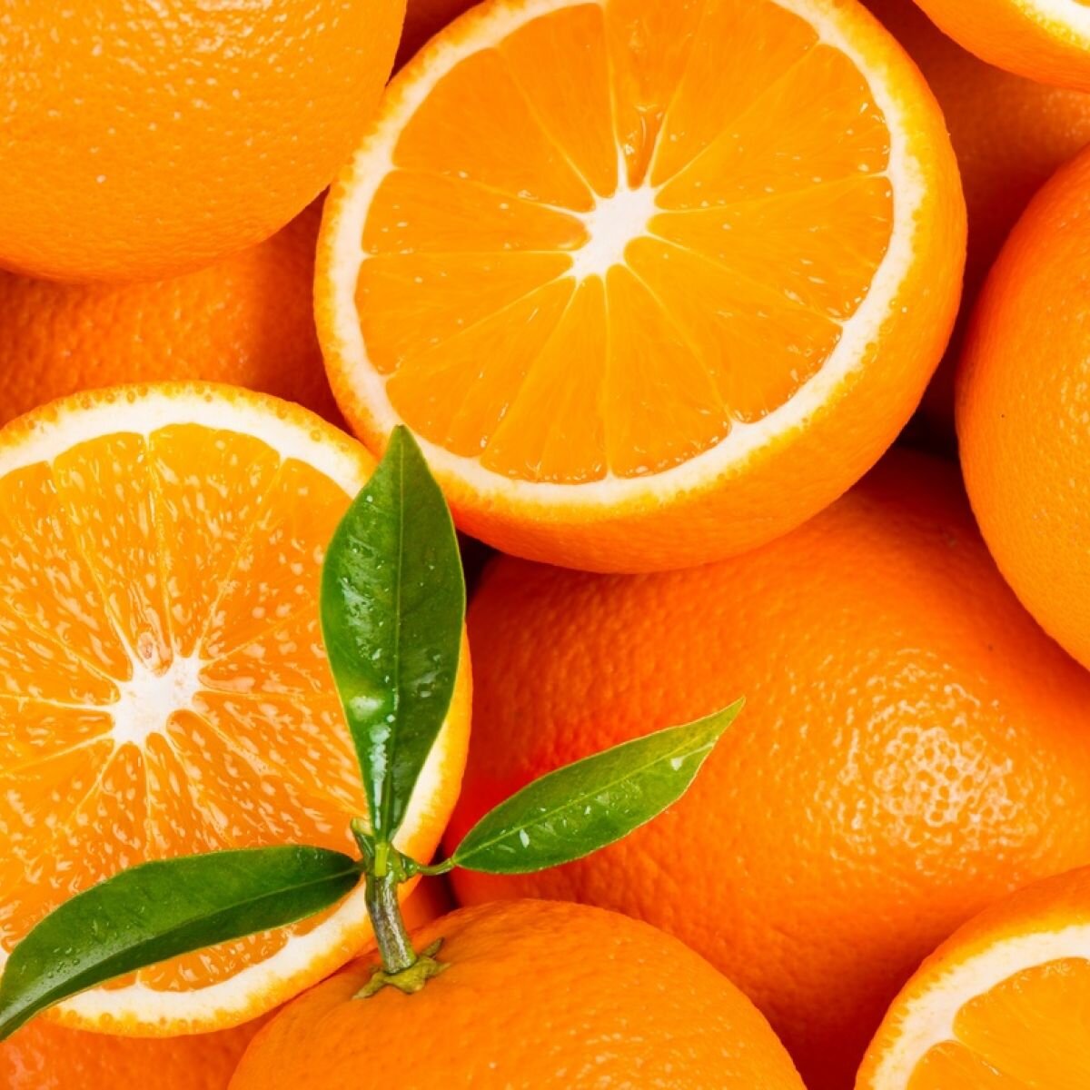Orange — Perrys Fruit & Nut Nursery
