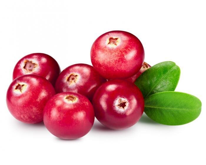 Cranberry — Perrys Fruit & Nut Nursery