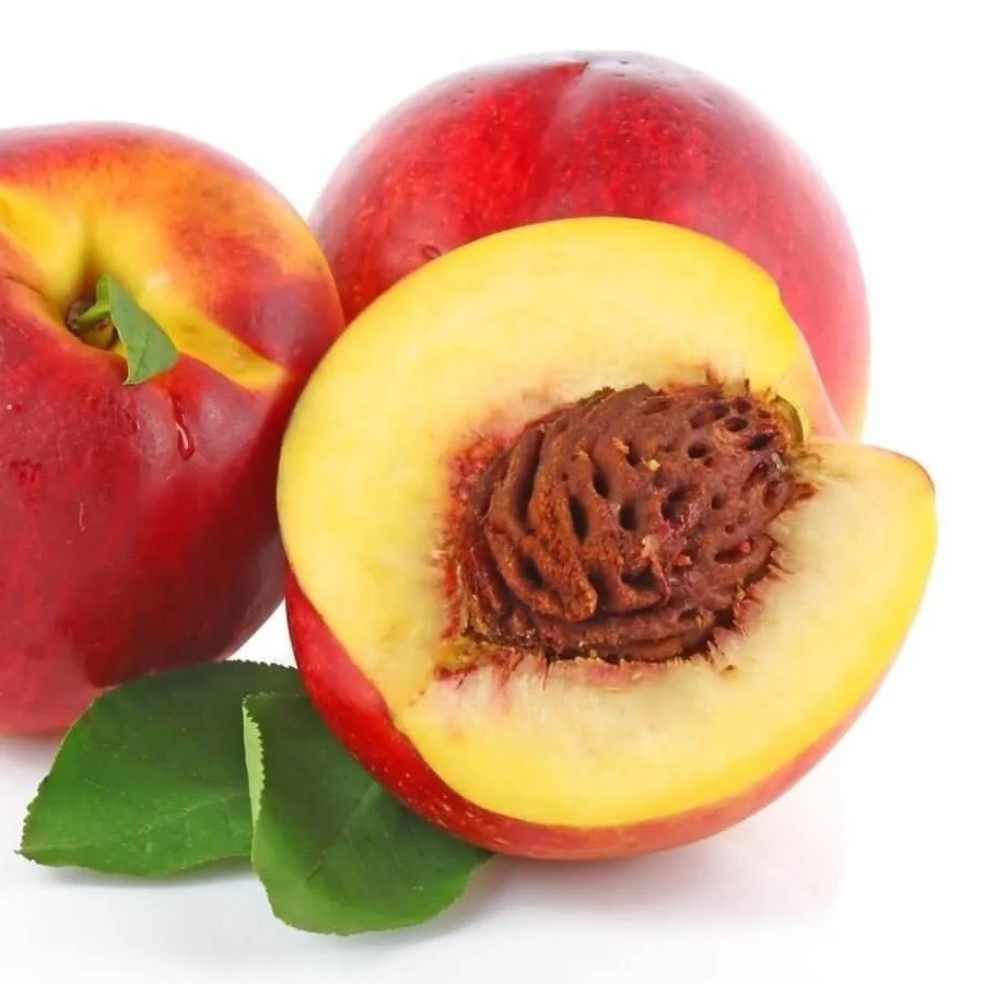 Perry Perry Fruit Stonefruit — Catalogue — Perrys Fruit & Nut Nursery