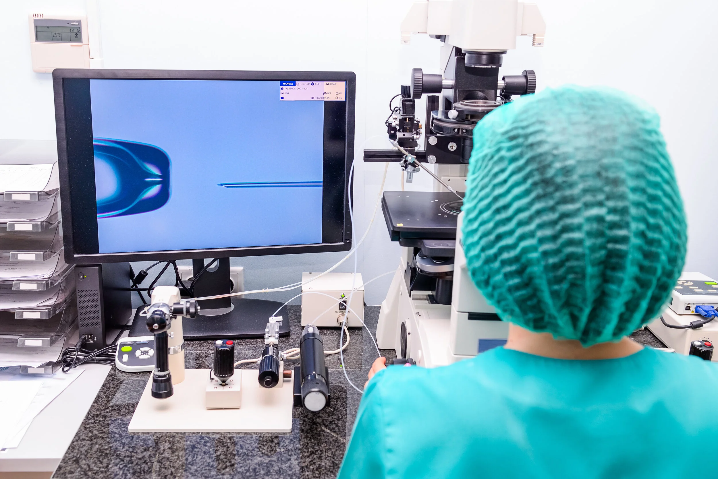 Laboratory technician conducting in vitro fertilization process using a microscope and monitor displaying a close-up of an egg and needle.