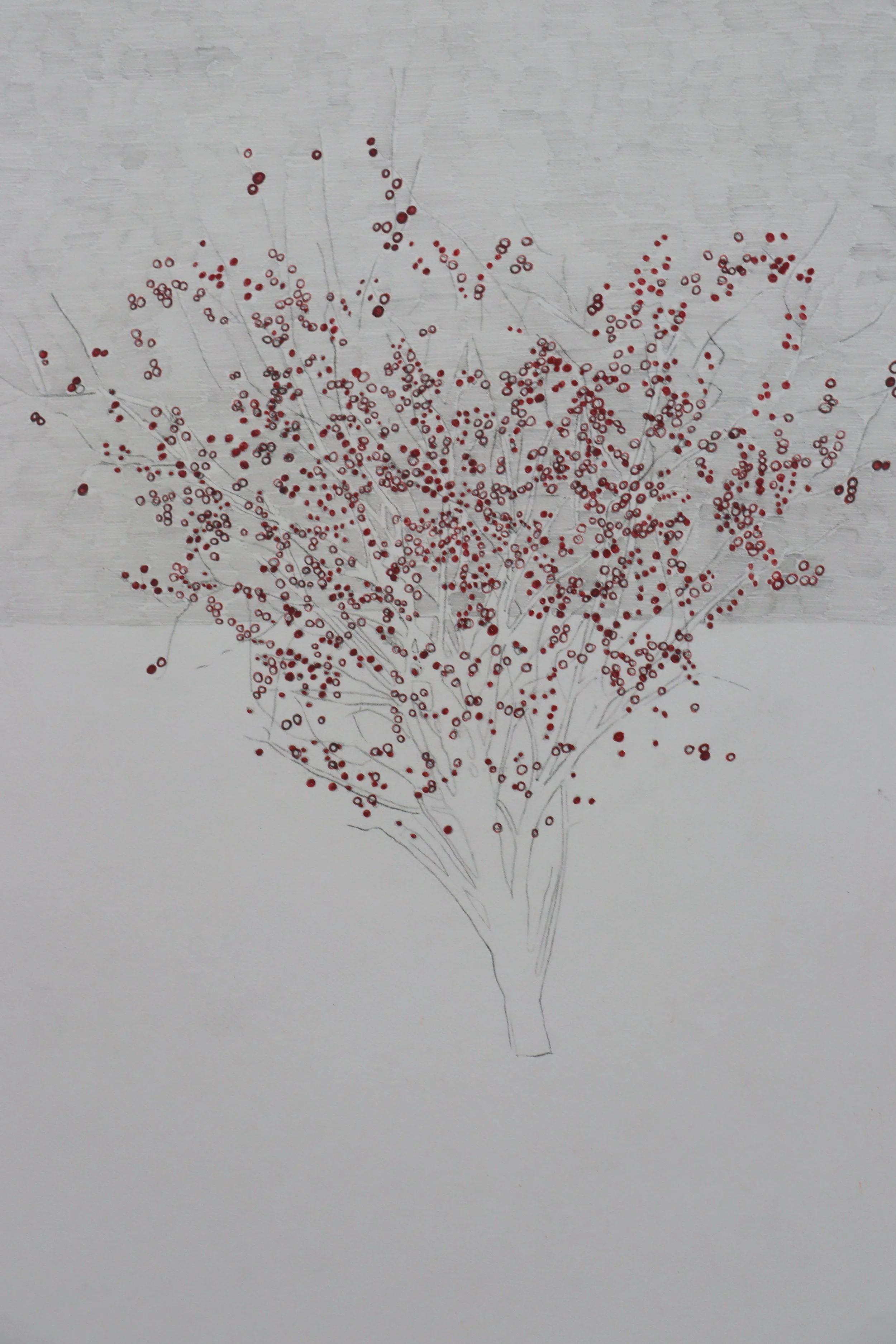 Berry Tree Pen and pencil on paper 50 x38 cm.png