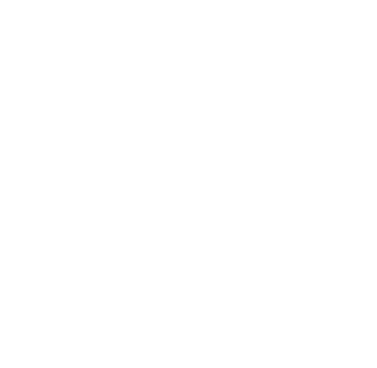 Renegade Rally 