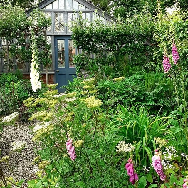 The greenhouse in the former potager at Bryan's Ground. A contemporary of the house, the staff cottages and all the other ancillary buildings, it was completed in 1913. It measures 19ft x 30ft. Wrought-iron arches support a cedarwood frame. Late evening. Mid-June.
www.bryansground.co.uk
#bryansground #bryansgroundgarden #bryansgroundgardenandarboretum  #bryansgroundpress #hortus #hortusjournal @hortusjournal #greenhouse #potager #potagergarden #artsandcrafts #artsandcraftshouse #artsandcraftsgarden #edwardianhouse #edwardiangarden #1913 #june #junegarden #juneflowers #summer #summergarden #summerflowers #herefordshire #herefordshiregardens #englishgardens #welshbordergardens #mortimercountry #presteigne