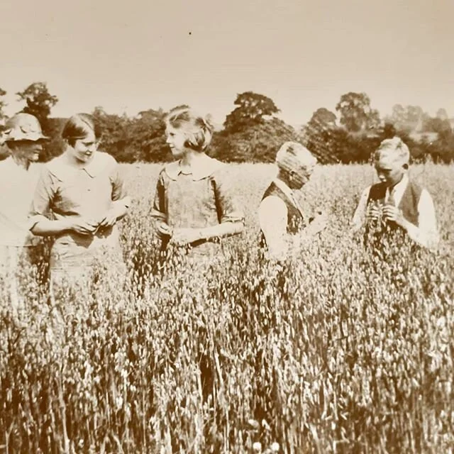 Remembering my late father, 'Jim' (William James Dorrell. 1912-1998) photographed here (far right) with his identical twin brother Joe, sisters Nell and Betty, and his mother in a field of oats at their home, The Pool House Farm, near Enville in Staffordshire, circa 1922.
www.bryansground.co.uk
#bryansground #bryansgroundgardenandarboretum #bryansgroundpress #hortus #hortusjournal @hortusjournal #fathersday #remembrance #father #identicaltwins #identicaltwinboys #oats #oatfield #field #arable #arablefield #arablefarming #farm #enville #staffordshire #1920s #interwar #loveyoudad