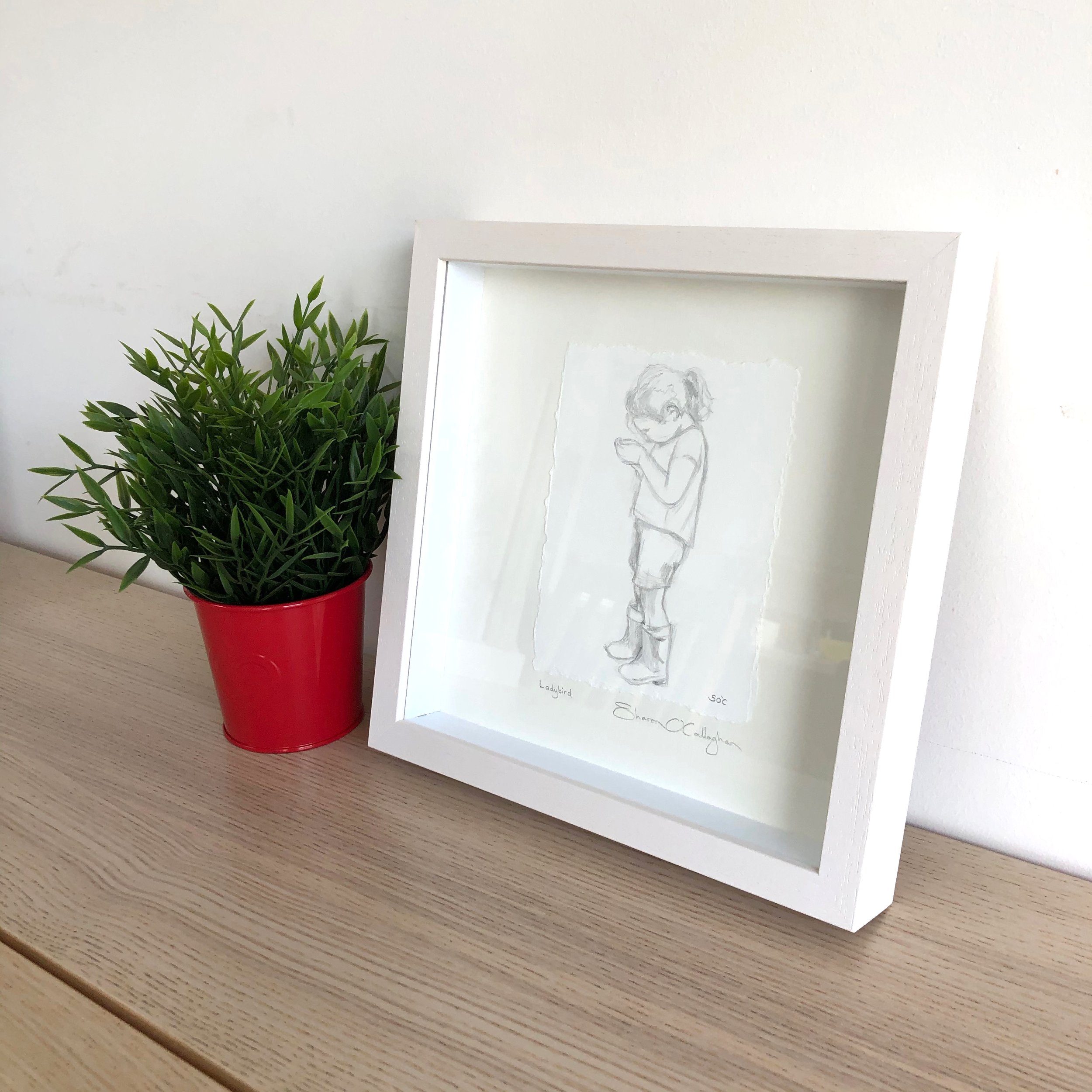 SharonOCallaghan_Ladybird_pencil3.jpeg