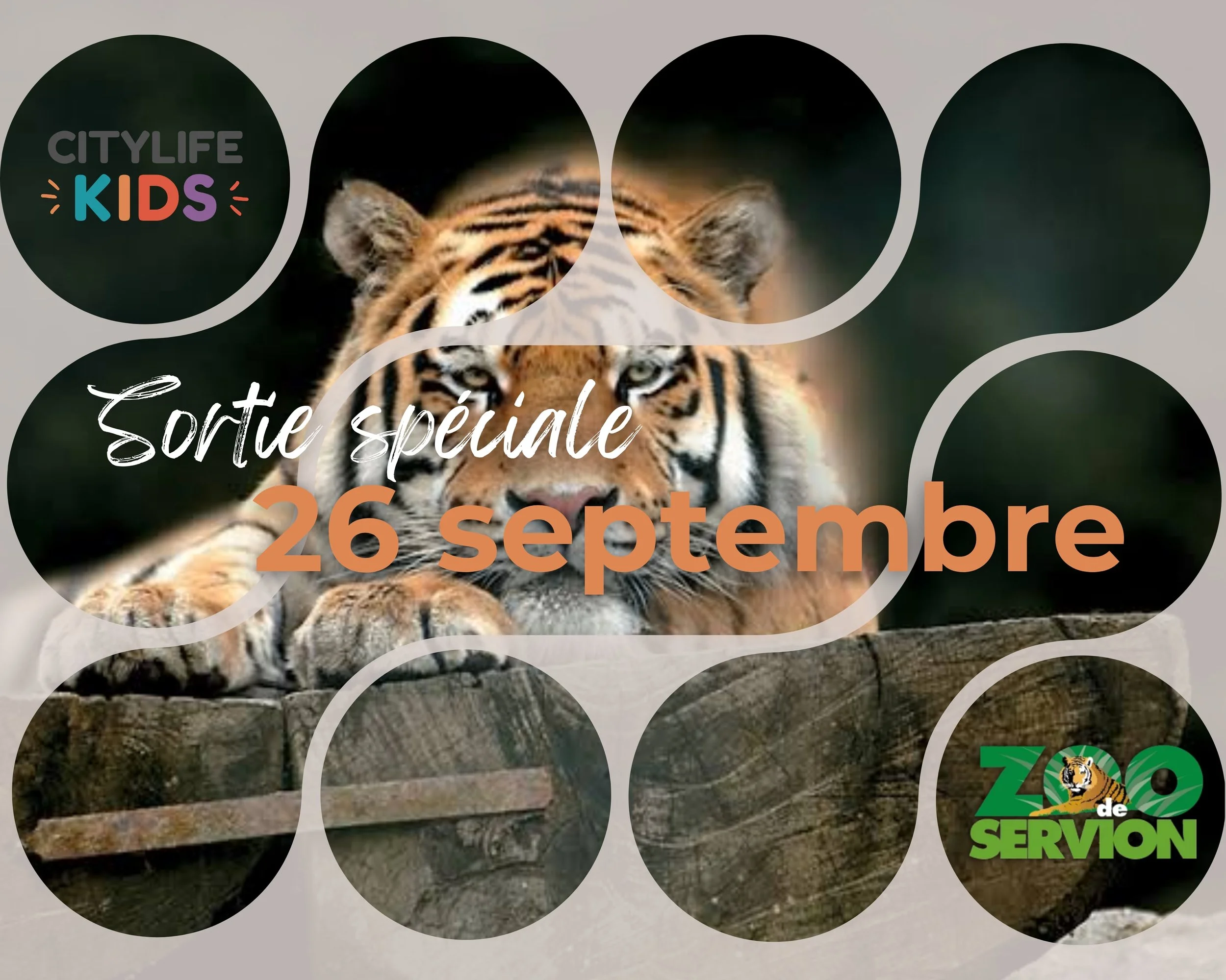 tigre zoo servion, sortie kids CityLife