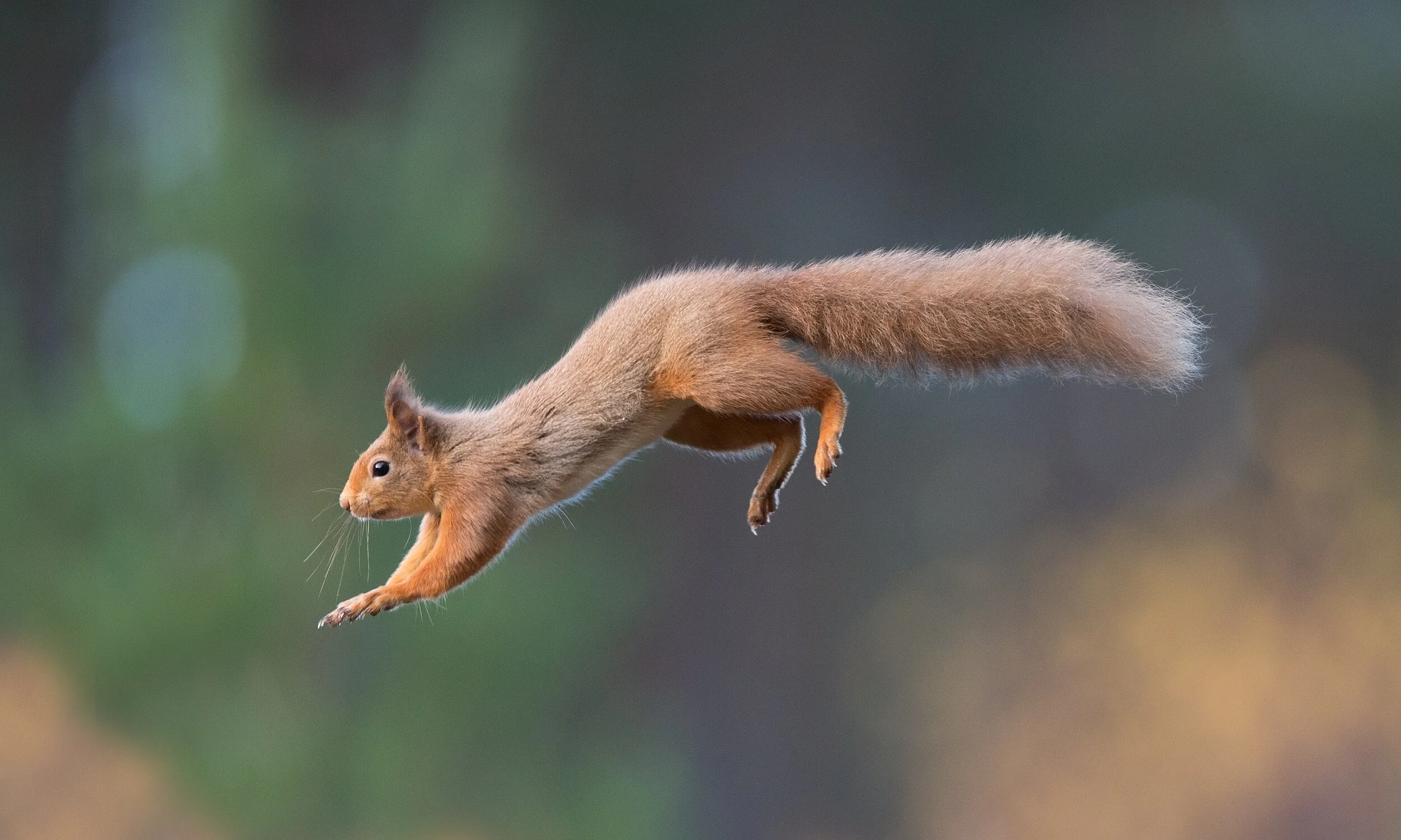 Our most valuable asset