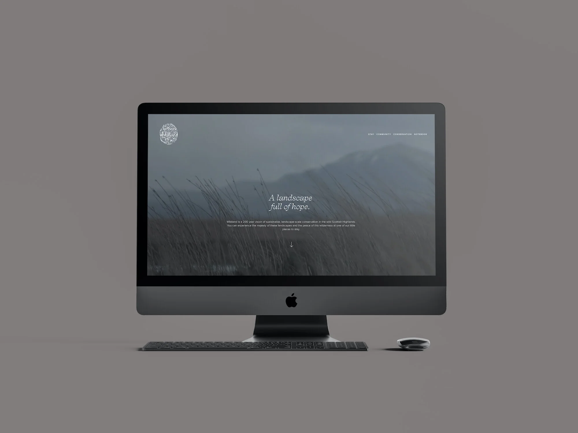 Wildland launches improved website