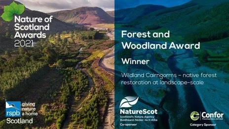 Further Awards Success for Wildland in the Cairngorms