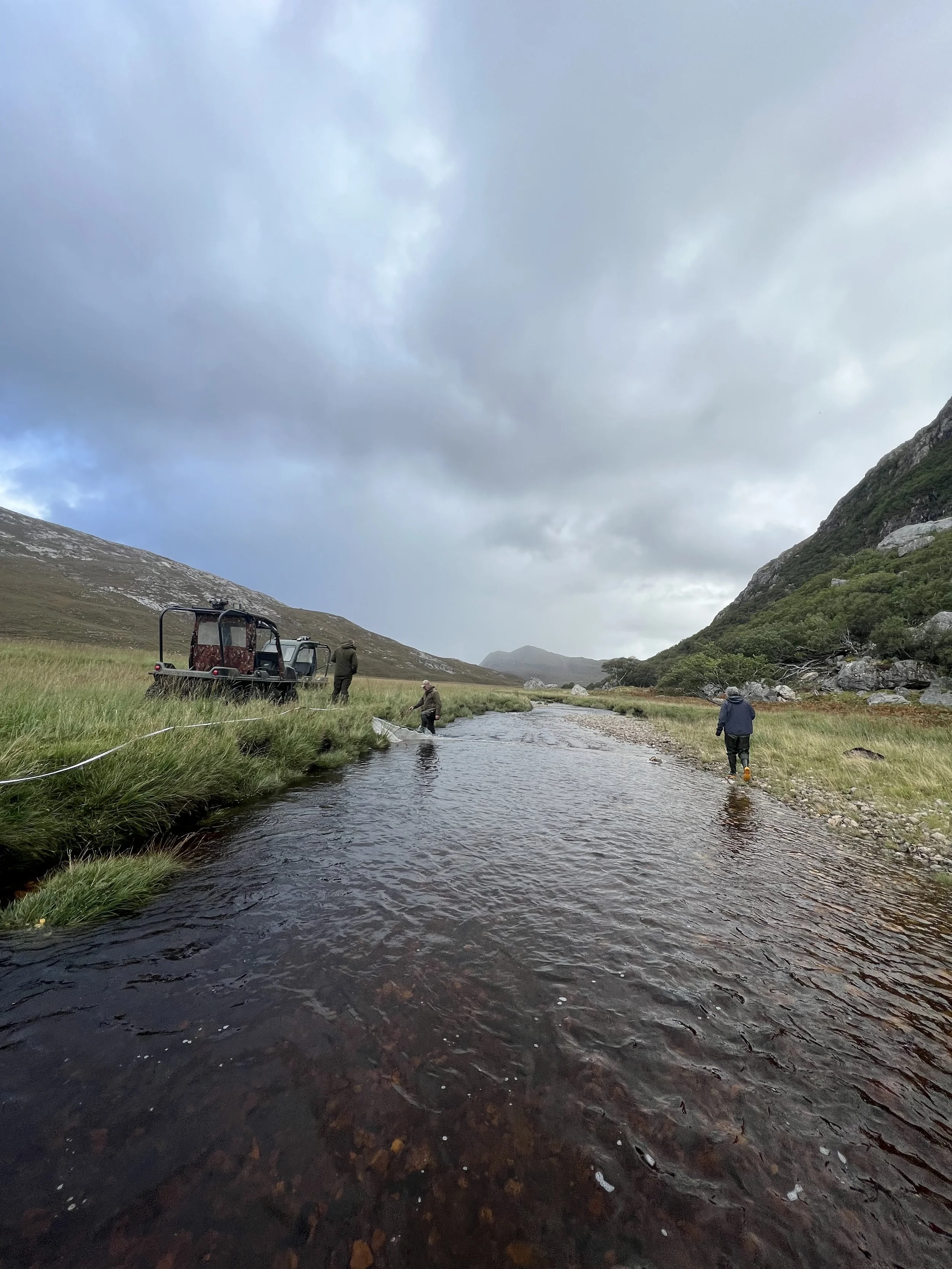 Electrofish Monitoring on Northern River Catchments