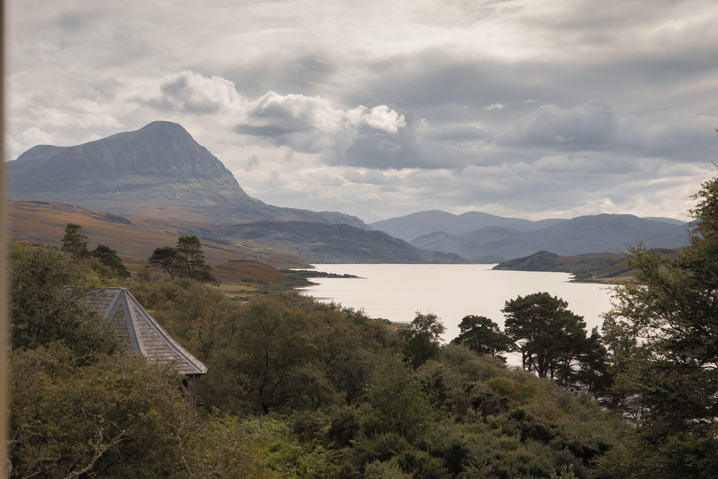 WildLand Hope Recruitment Pop-Up