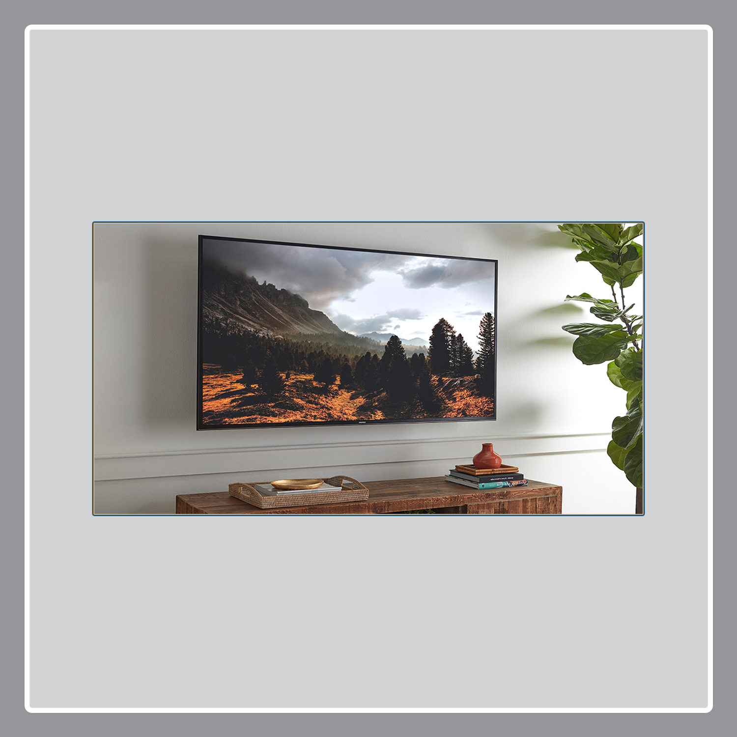 TV Wall Mounting