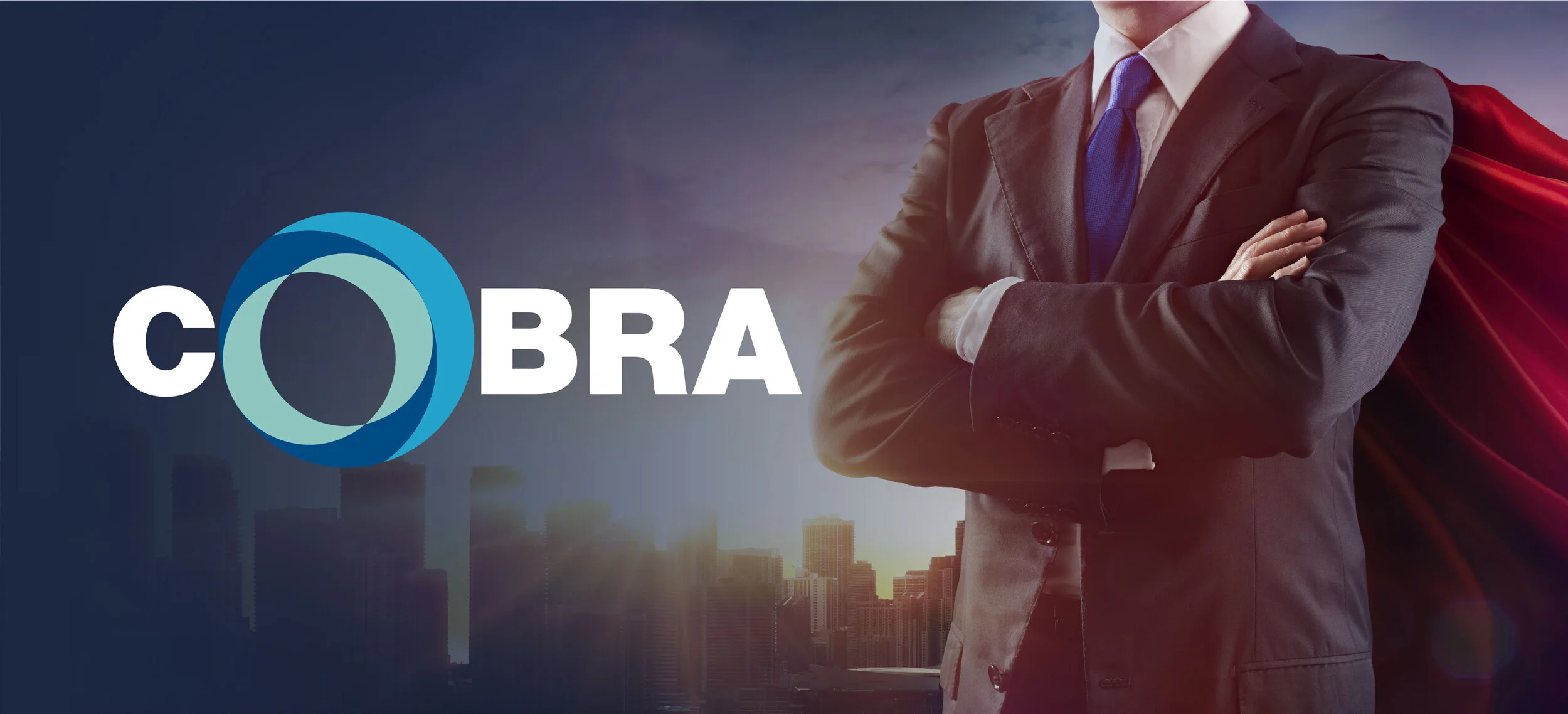 Cobra_Website-new-01.jpg