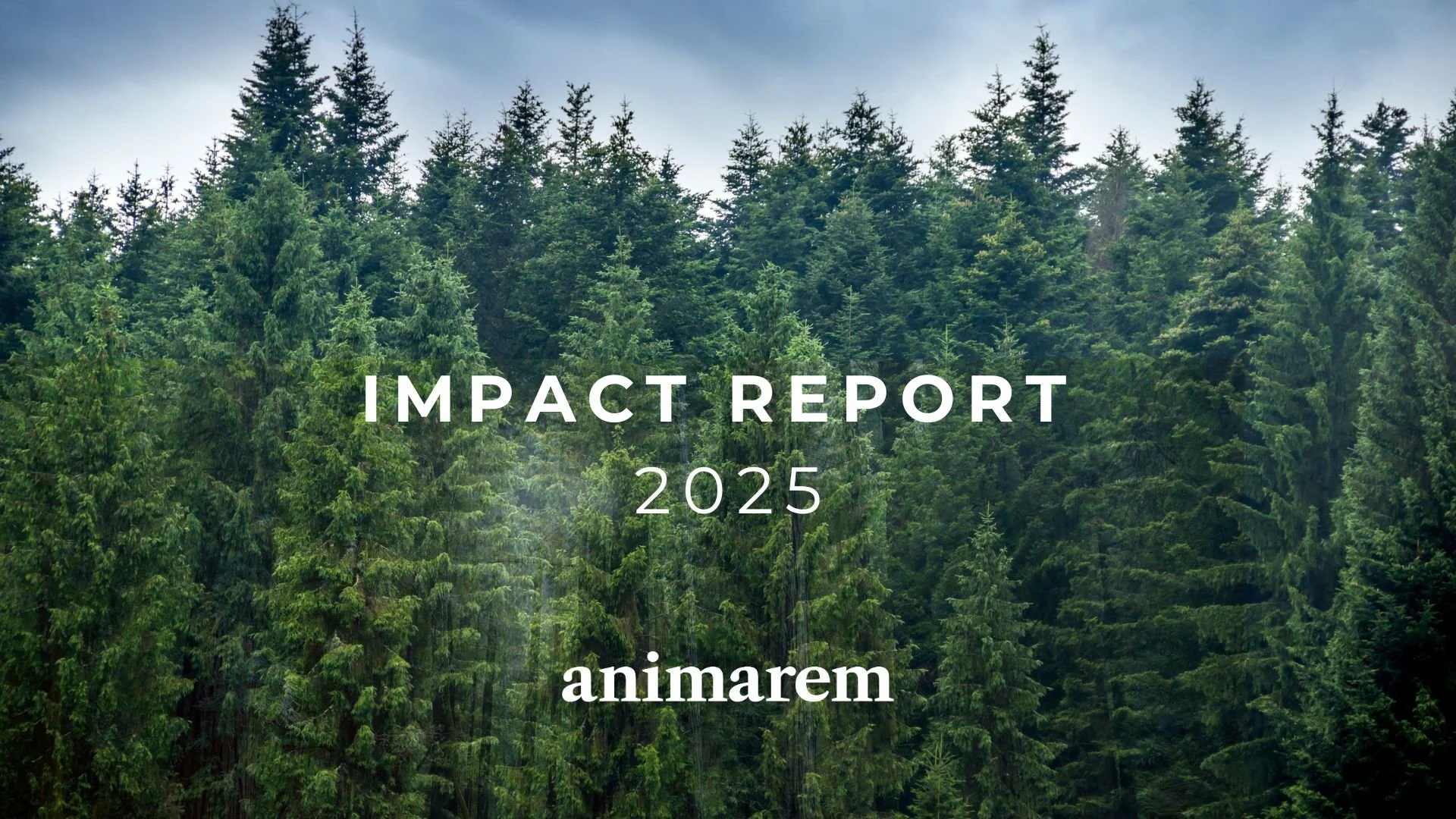 Animarem 2025 Impact Report